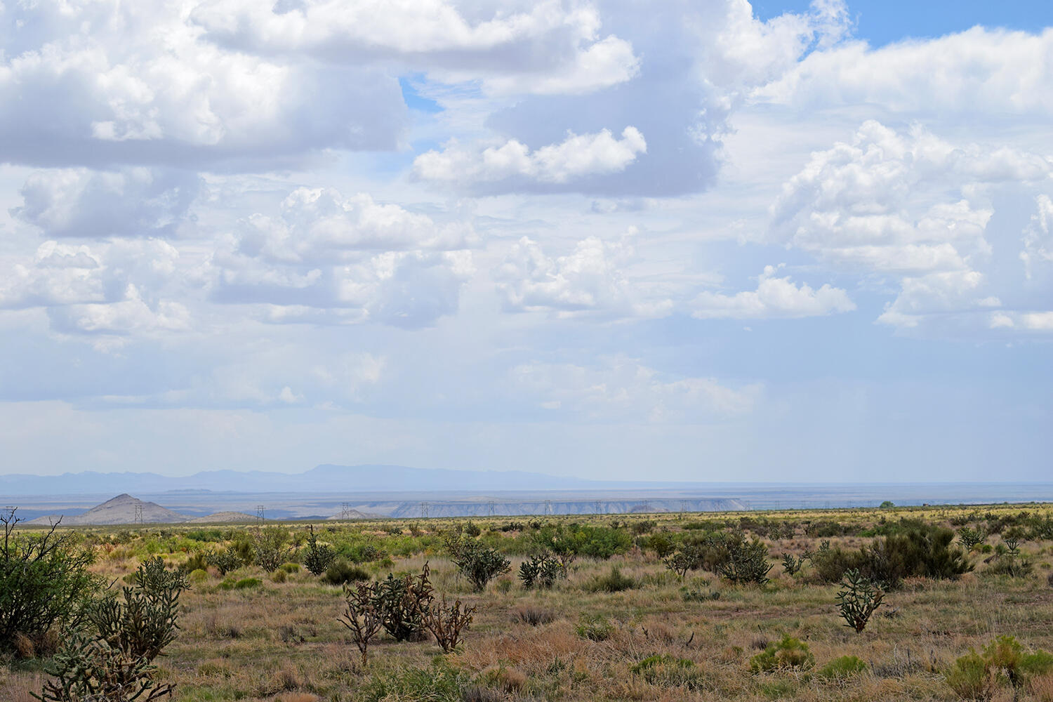 205 Muledeer Trail