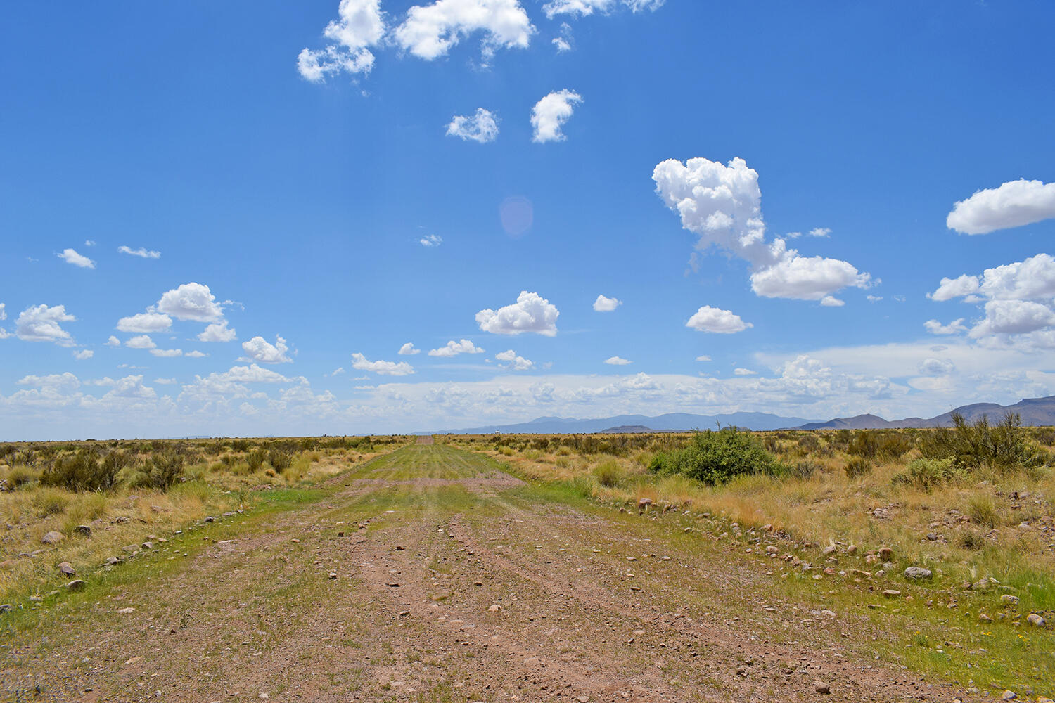 205 Muledeer Trail