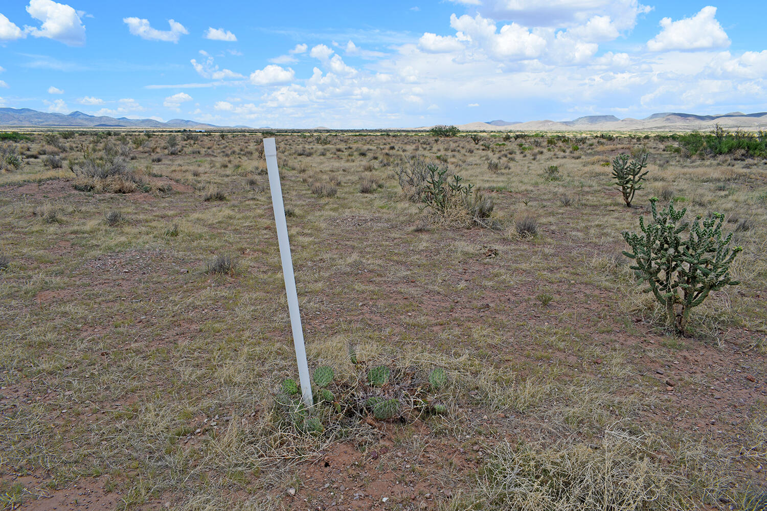 205 Muledeer Trail