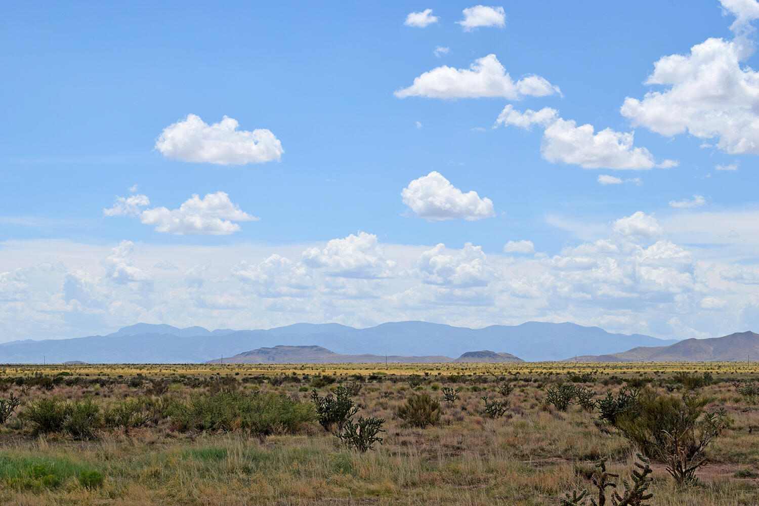 205 Muledeer Trail