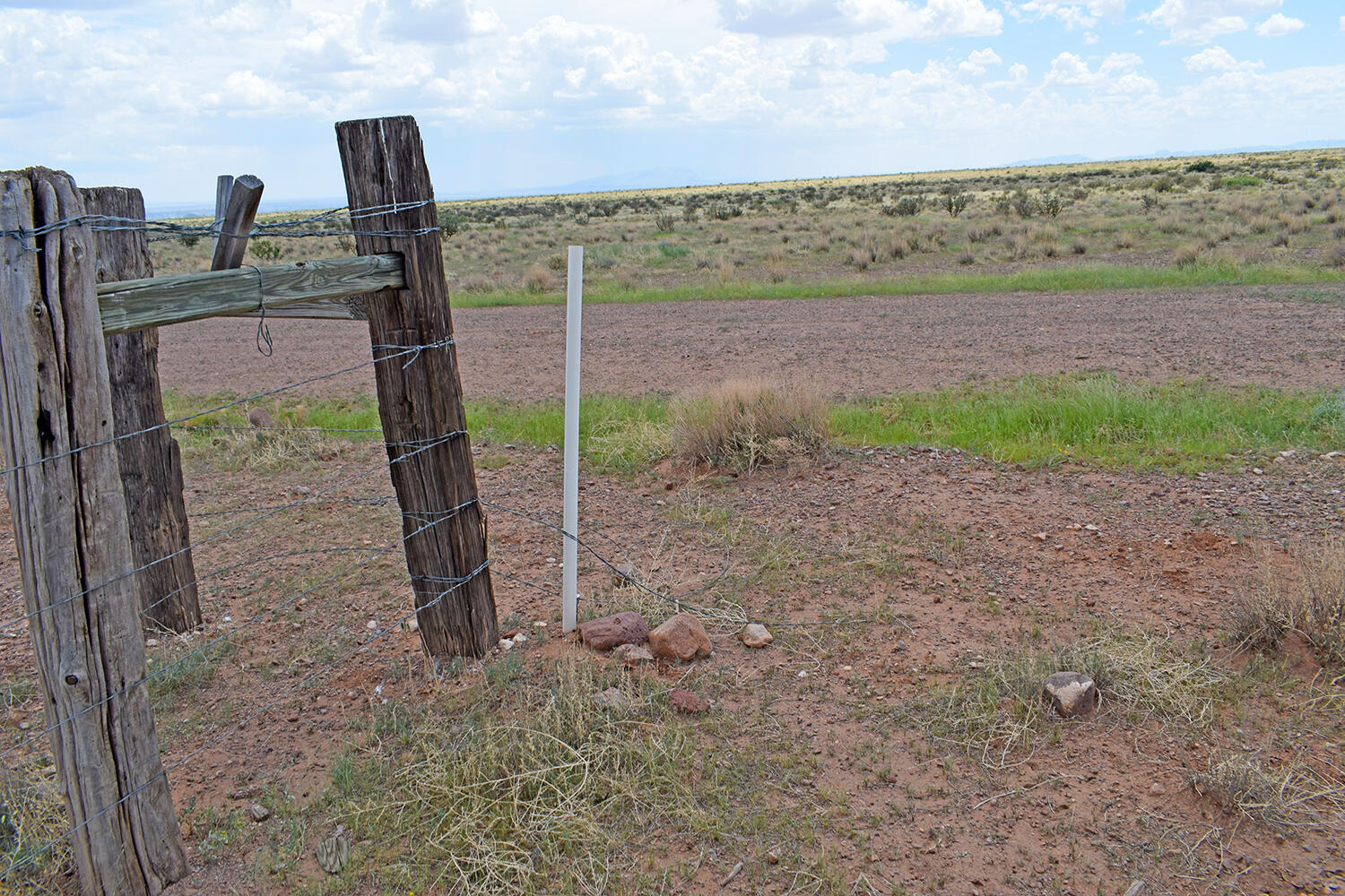 205 Muledeer Trail