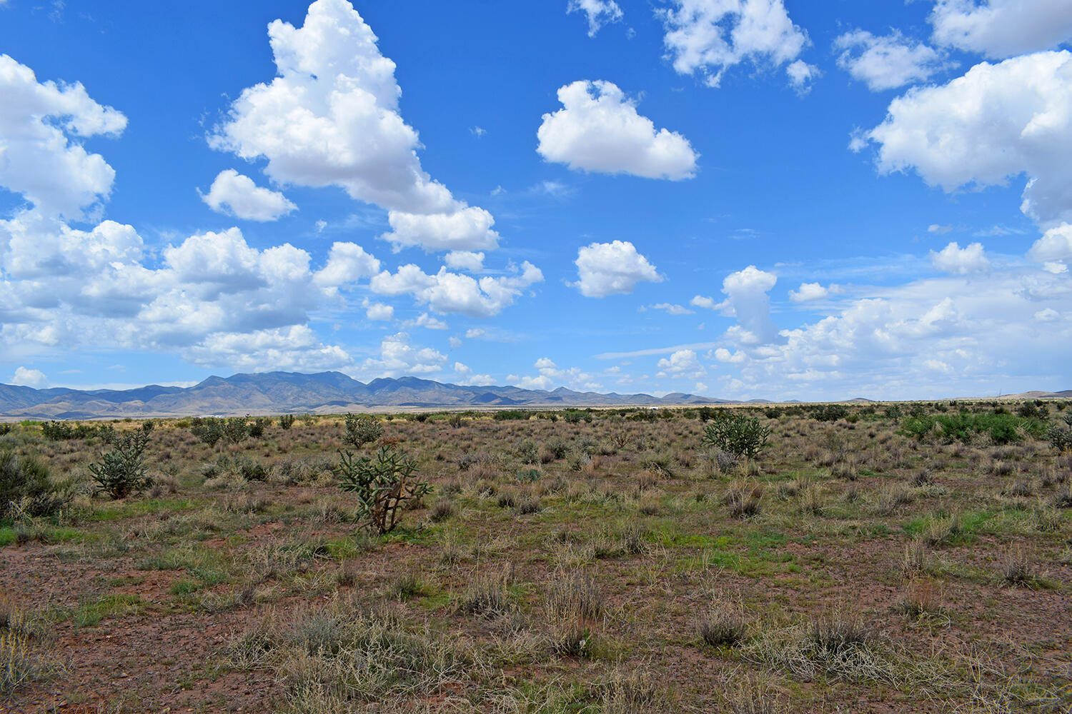 205 Muledeer Trail