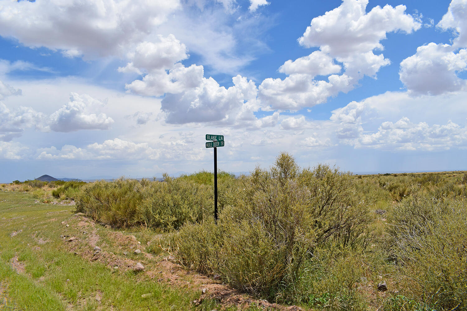 205 Muledeer Trail