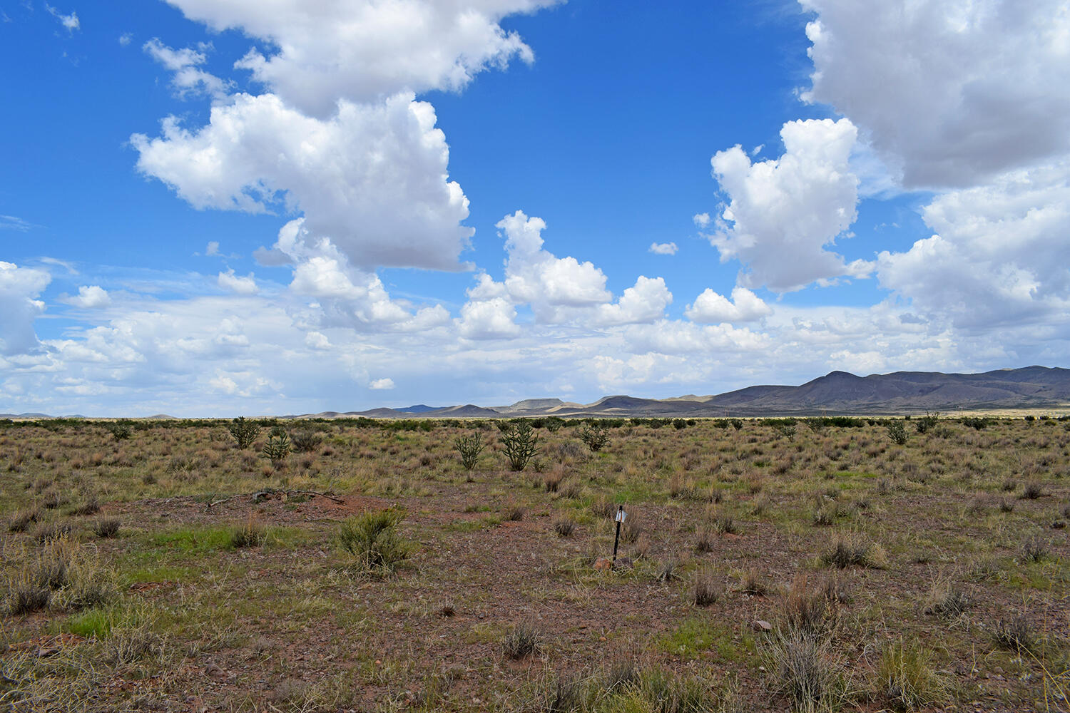 205 Muledeer Trail