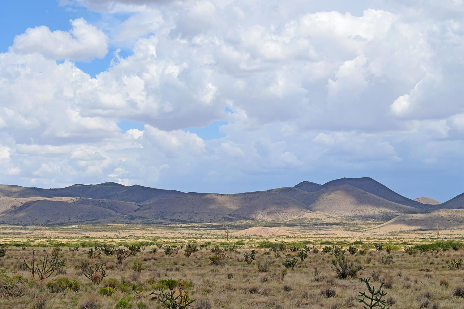 205 Muledeer Trail