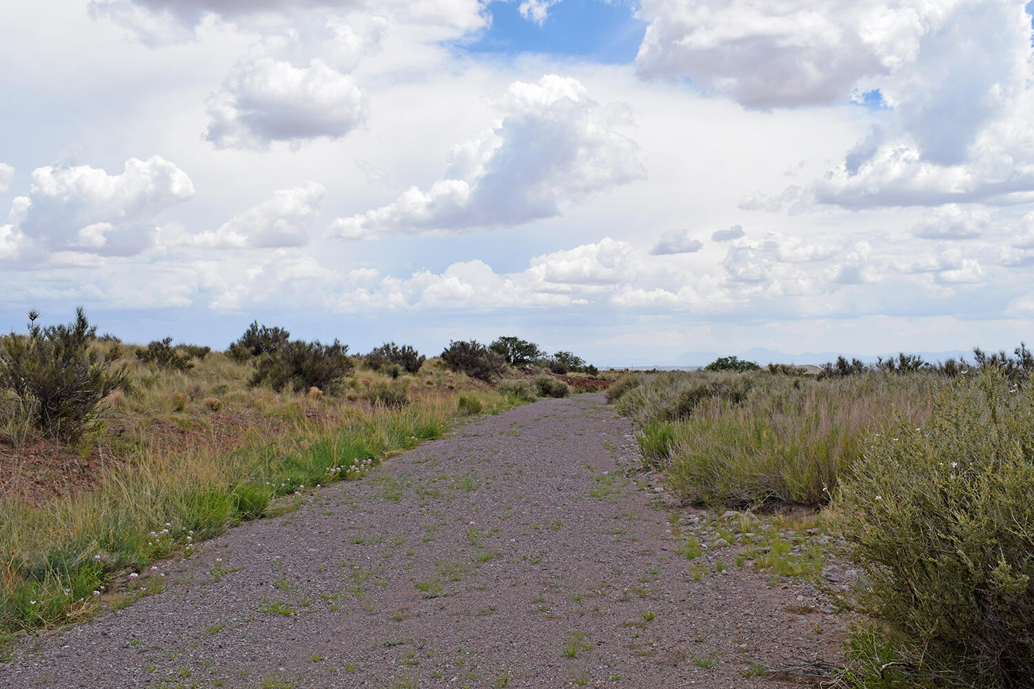 205 Muledeer Trail