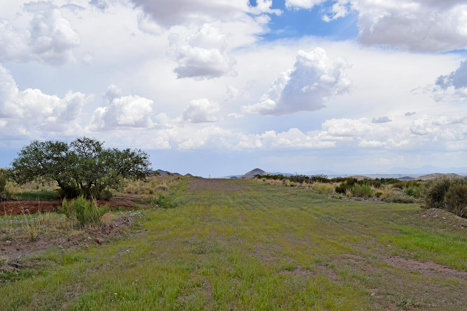 205 Muledeer Trail