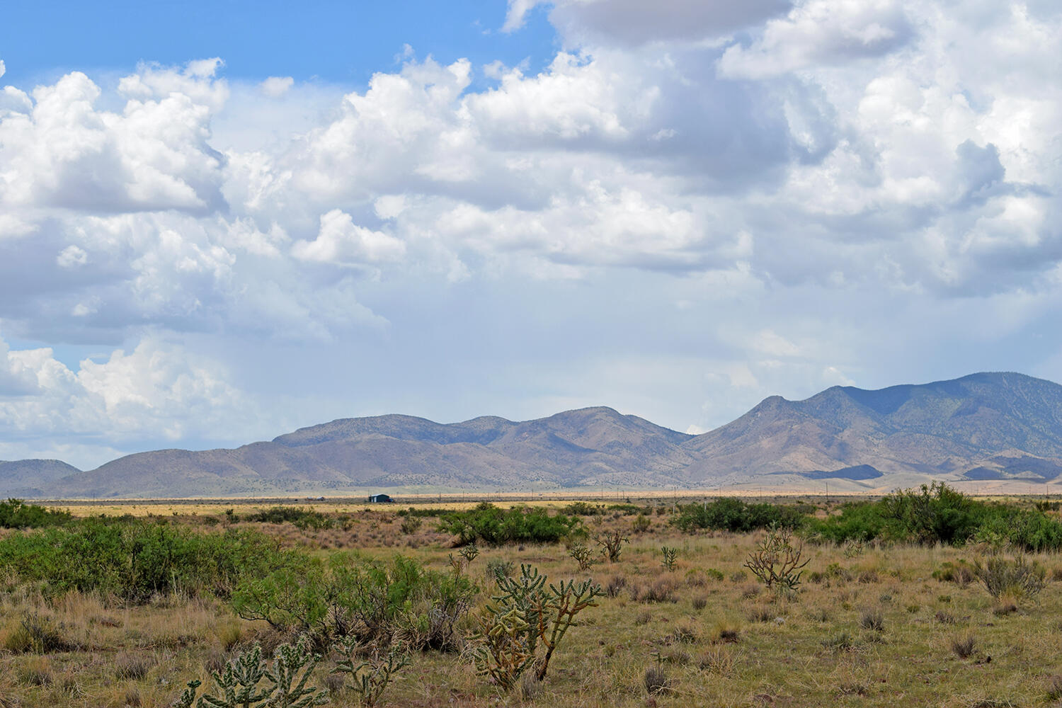 205 Muledeer Trail