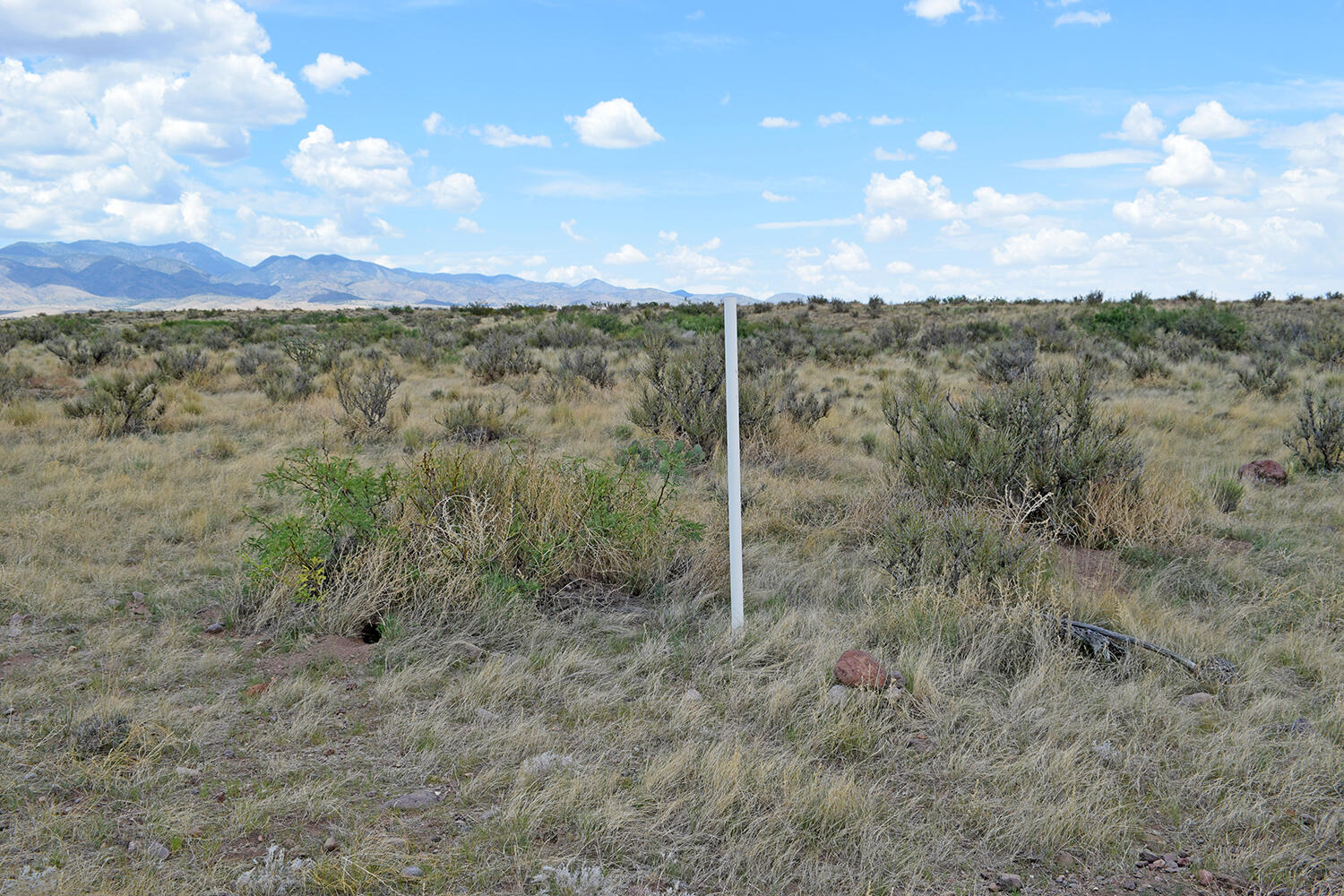 205 Muledeer Trail
