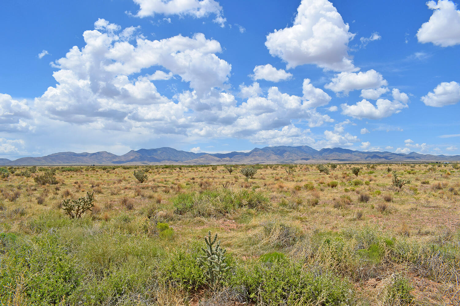 205 Muledeer Trail