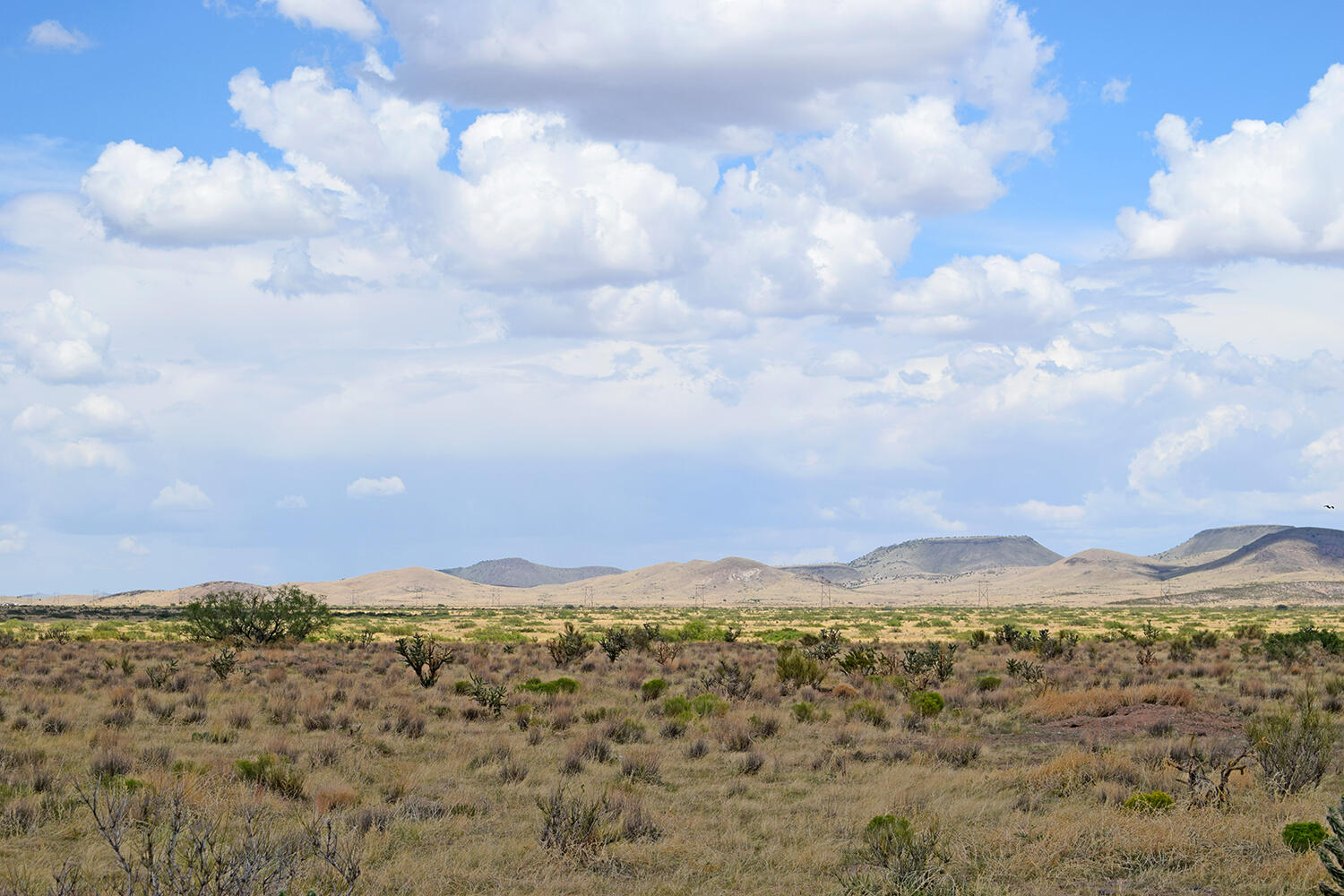 205 Muledeer Trail
