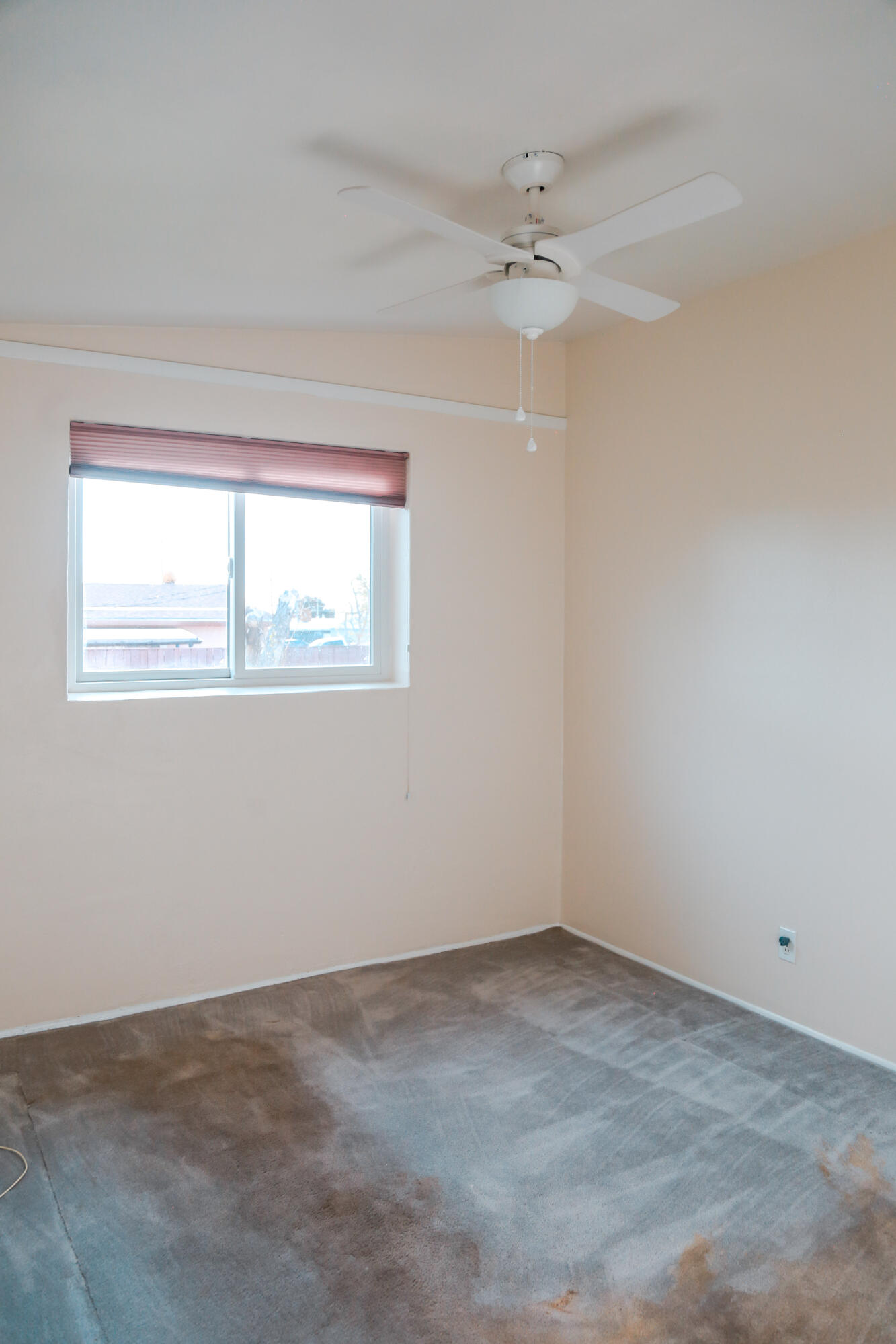 10523 Princess Jeanne Avenue NE