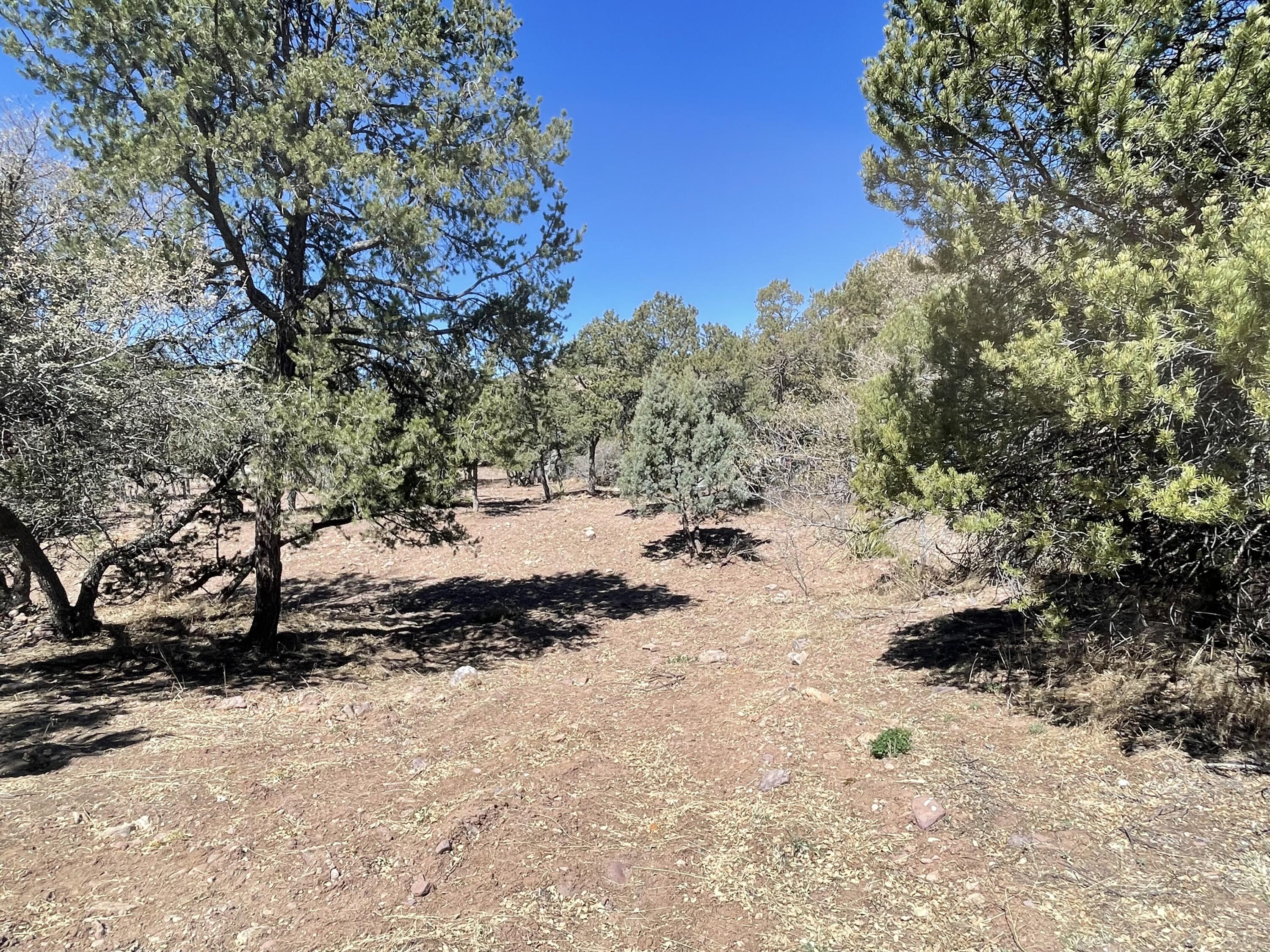 175 Hop Canyon Road
