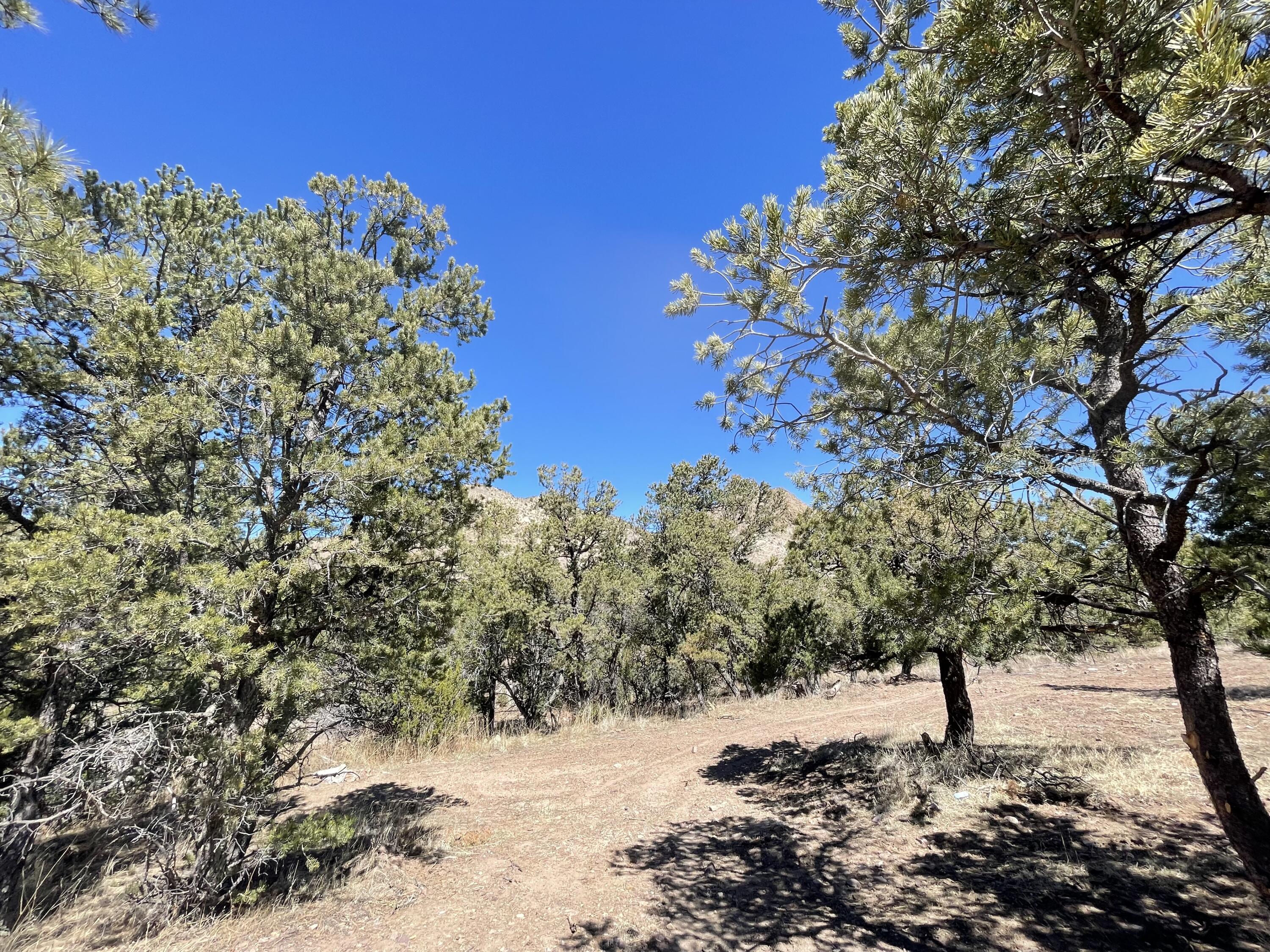 175 Hop Canyon Road
