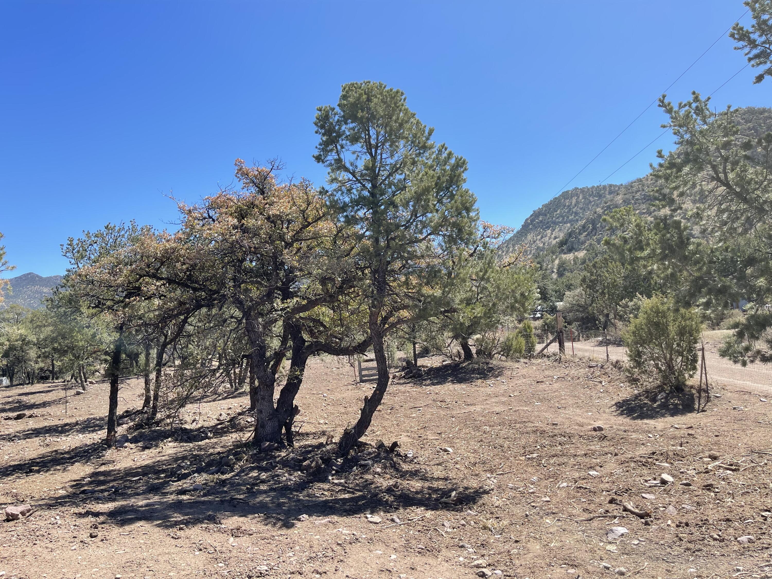 175 Hop Canyon Road