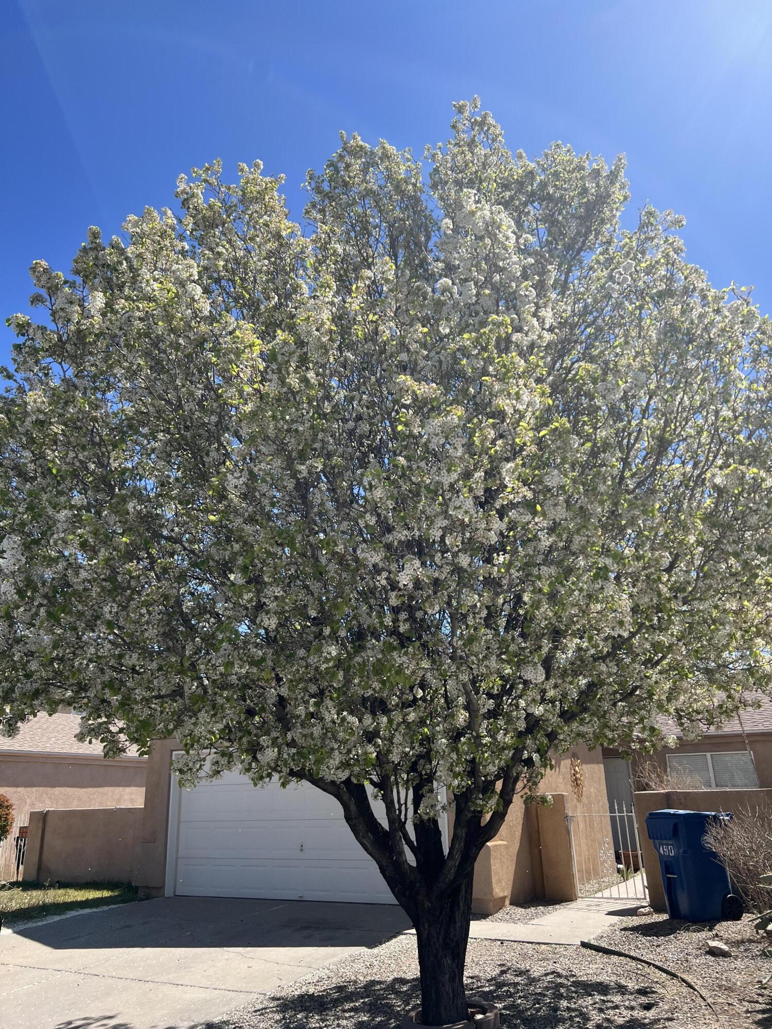 490 Camino Del Rey SW