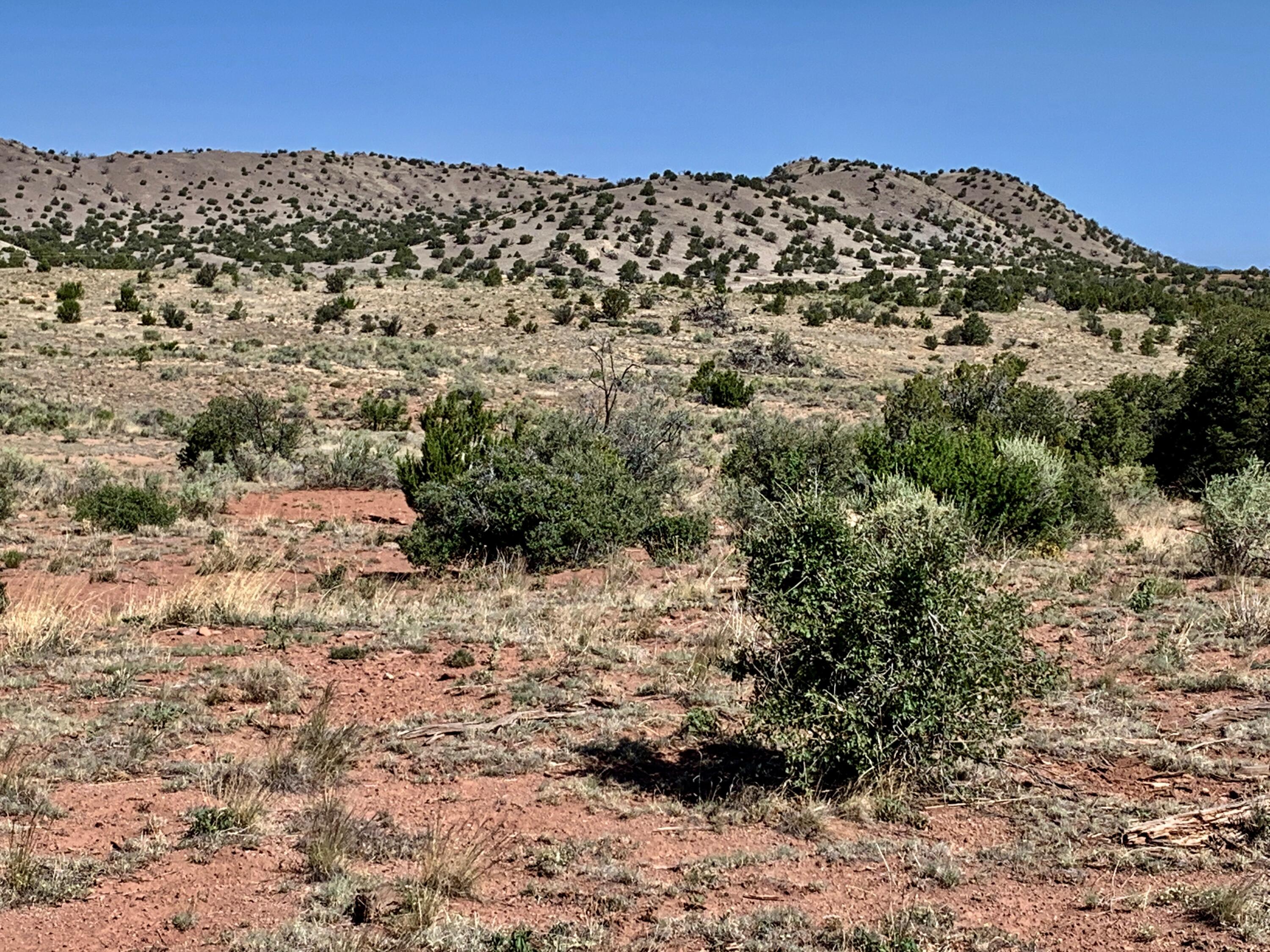9 Pinon Springs Ranches