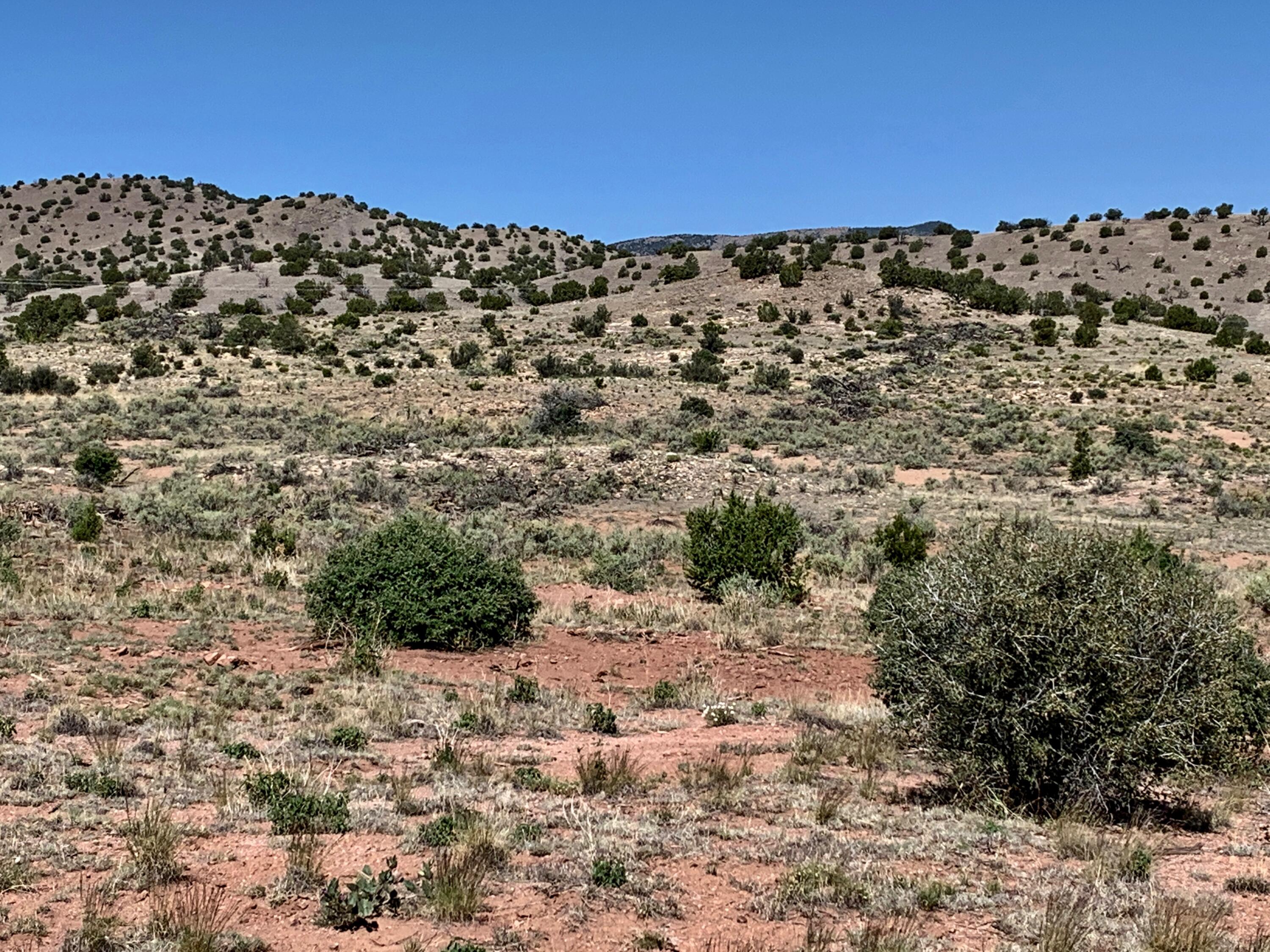 9 Pinon Springs Ranches