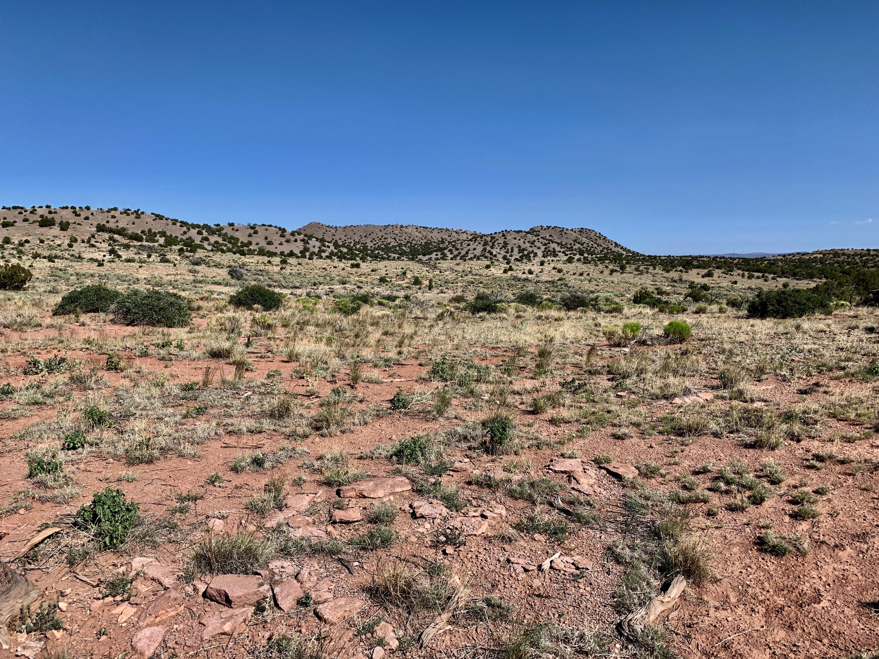 9 Pinon Springs Ranches