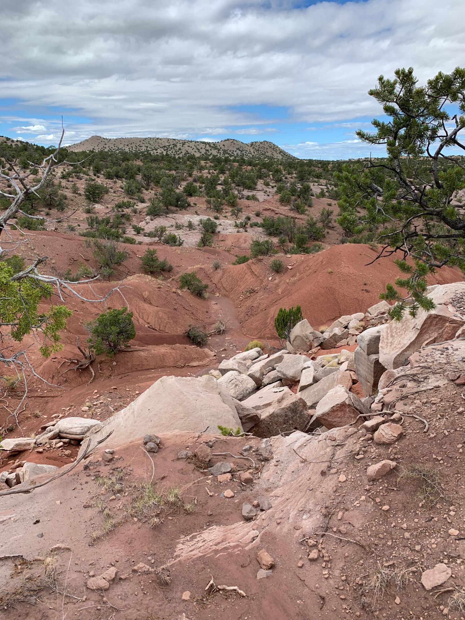 9 Pinon Springs Ranches