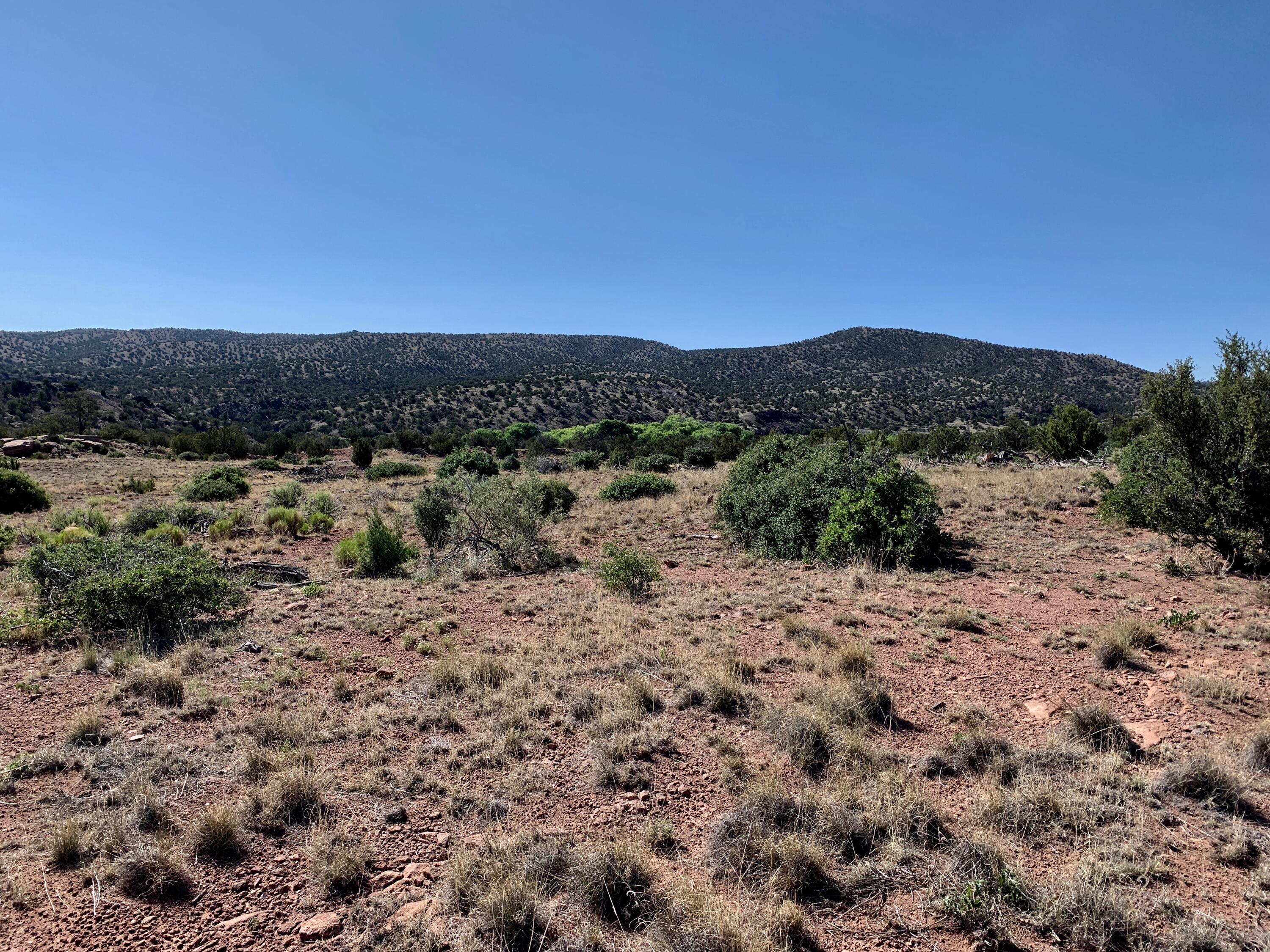 9 Pinon Springs Ranches