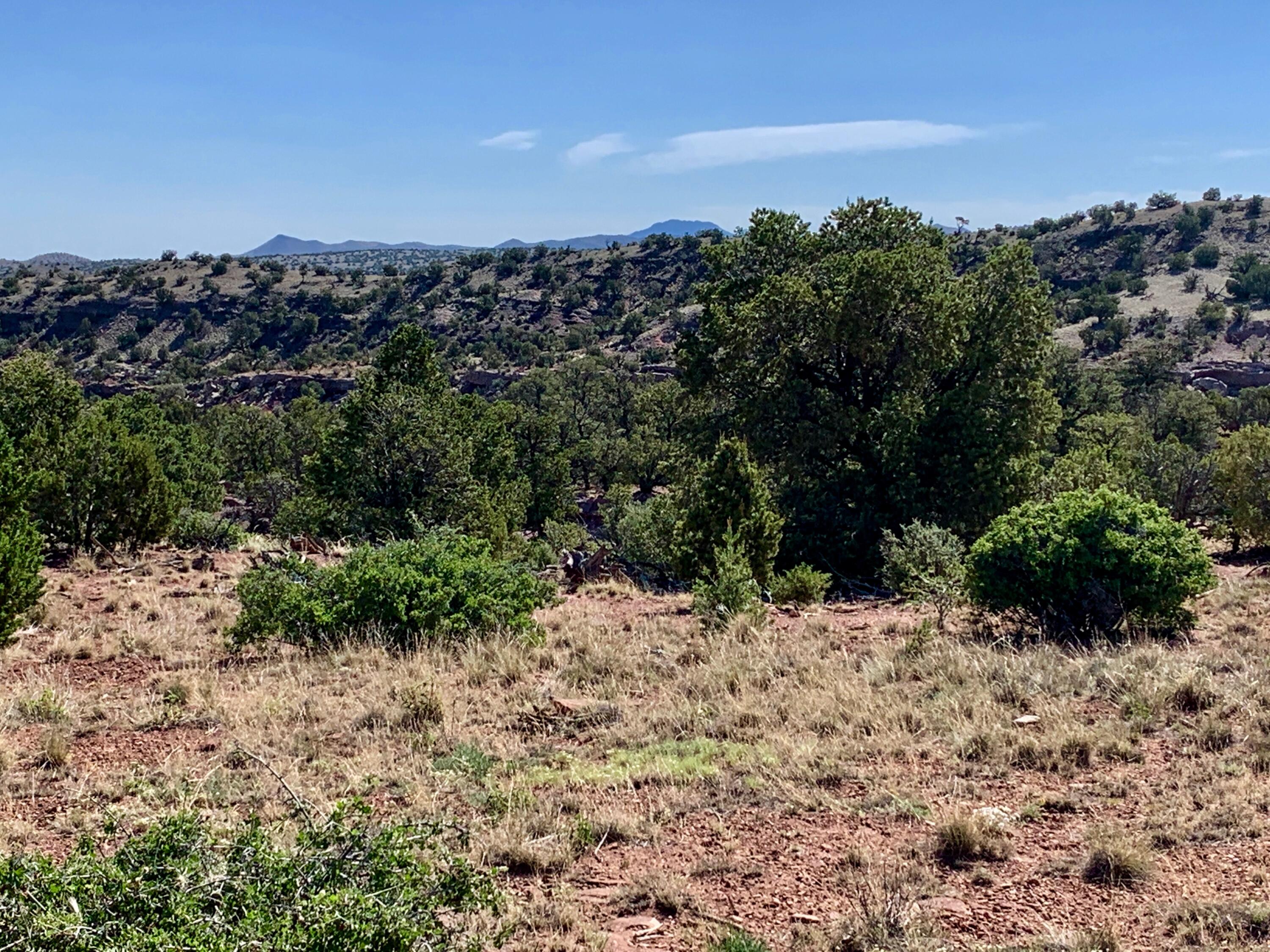 9 Pinon Springs Ranches