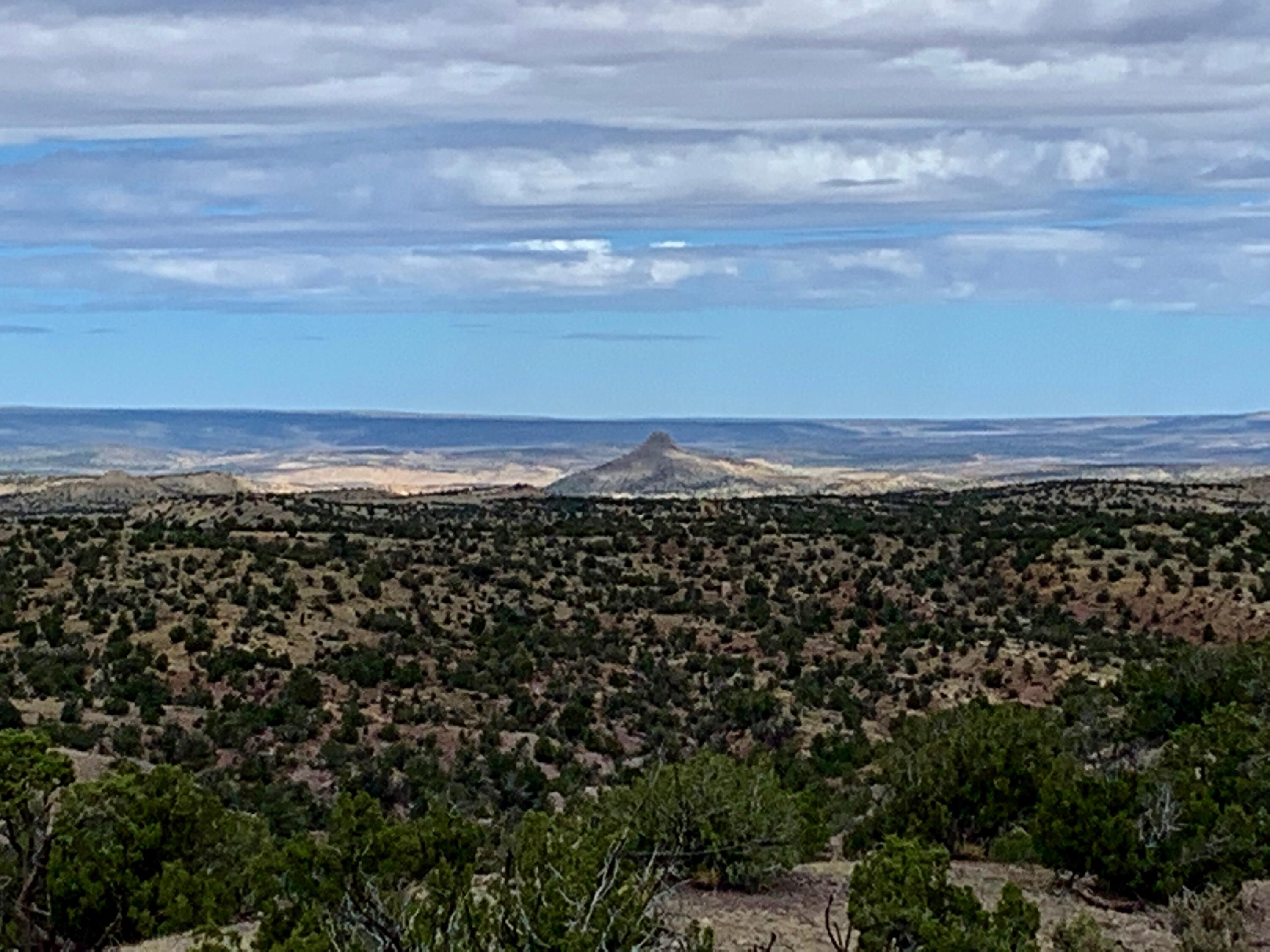 9 Pinon Springs Ranches