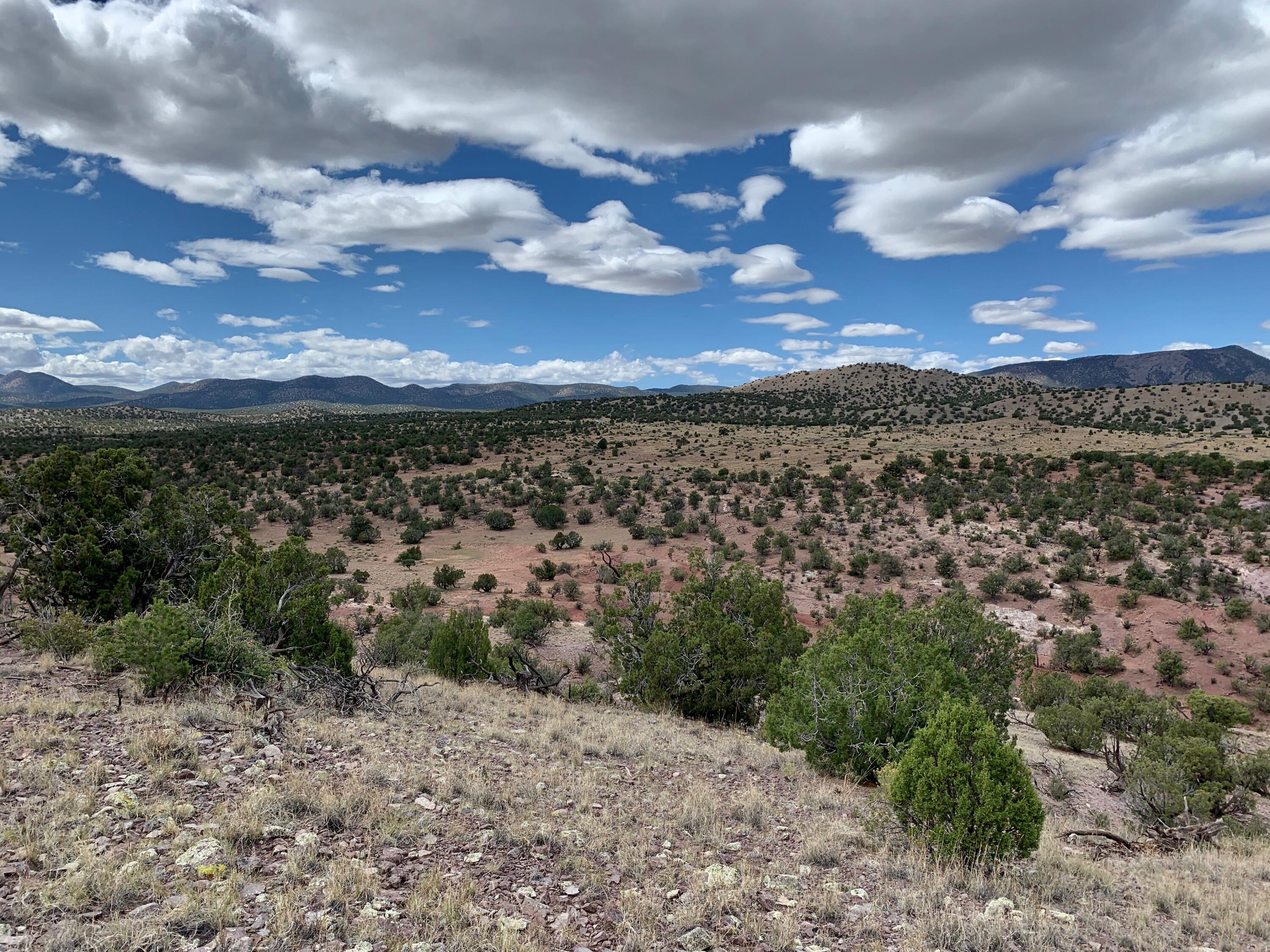 9 Pinon Springs Ranches