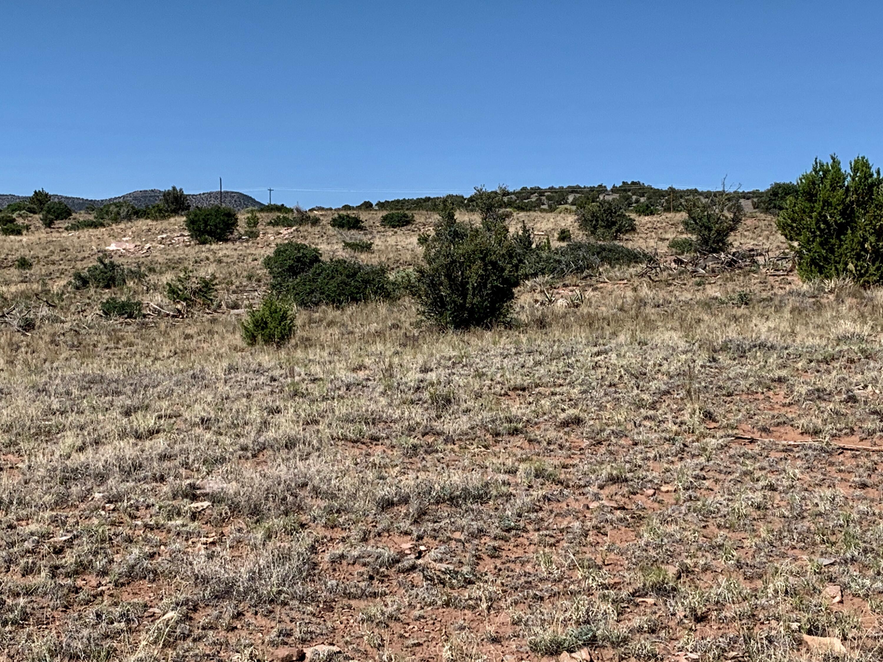9 Pinon Springs Ranches