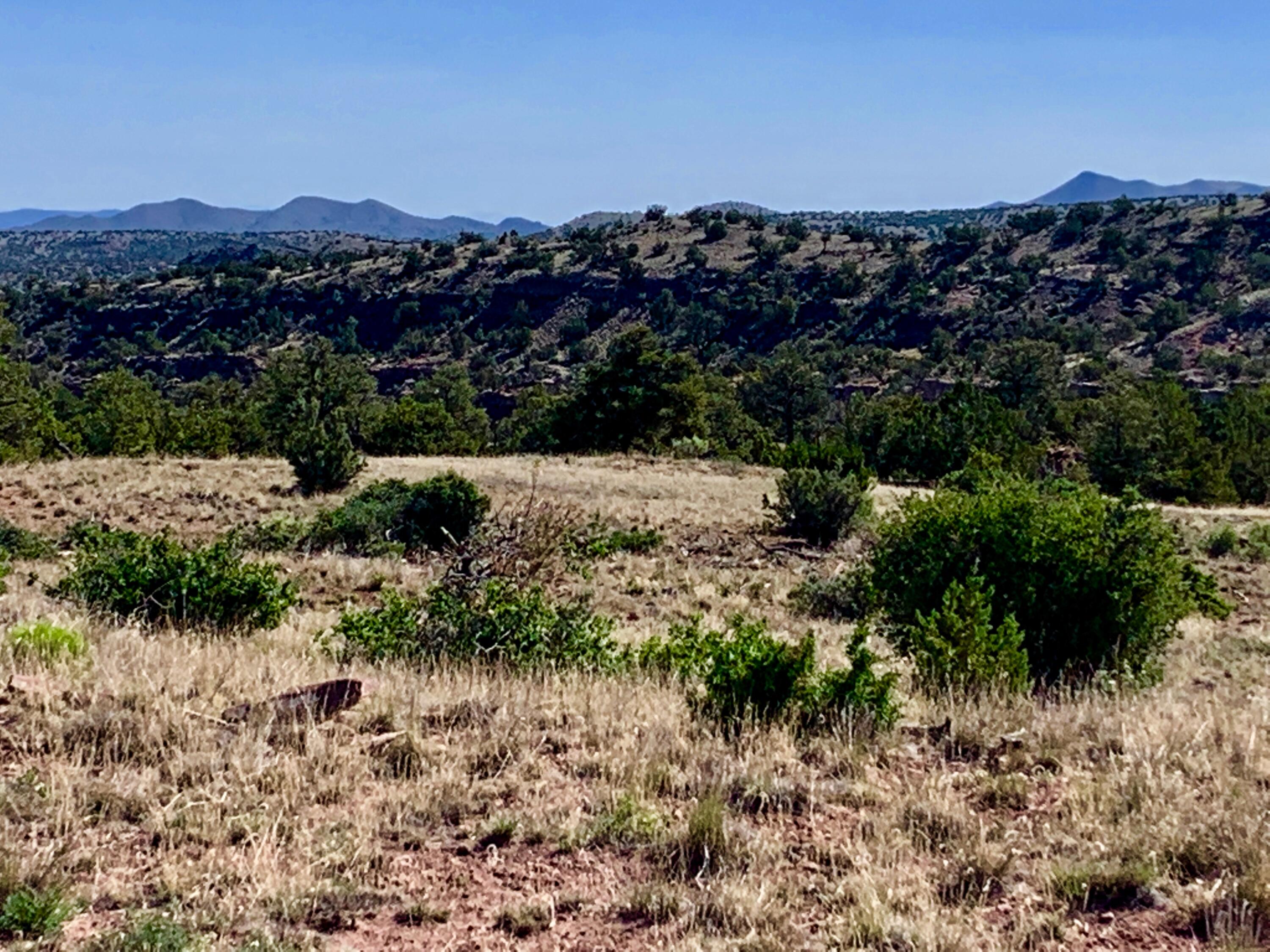 9 Pinon Springs Ranches