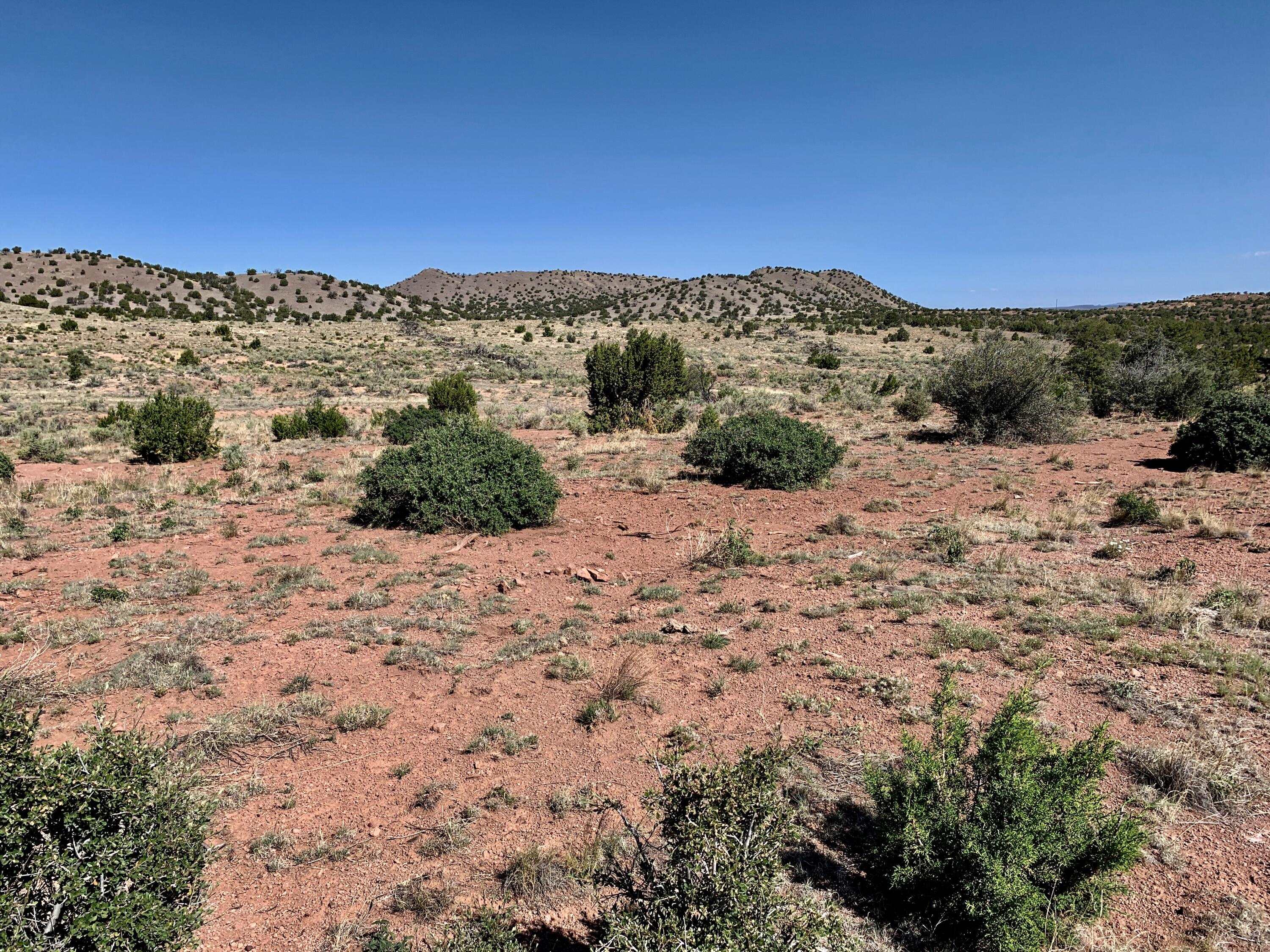 9 Pinon Springs Ranches