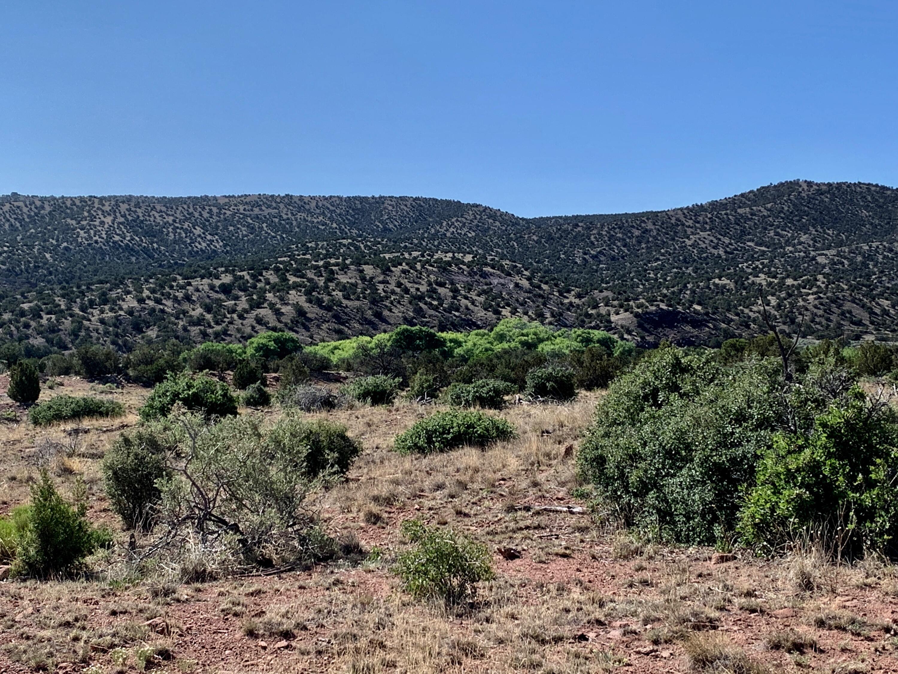 9 Pinon Springs Ranches