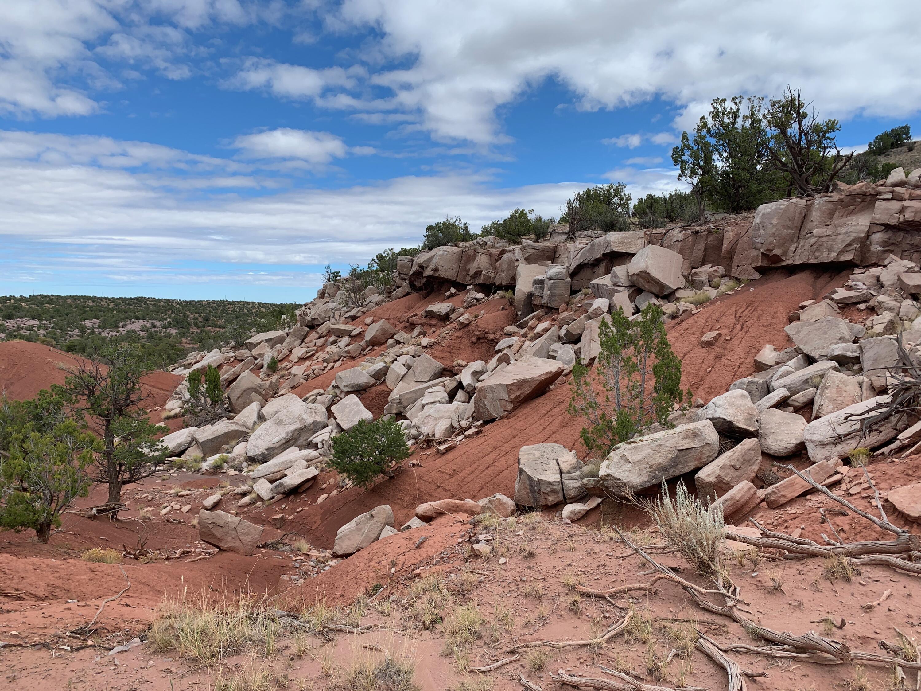 9 Pinon Springs Ranches