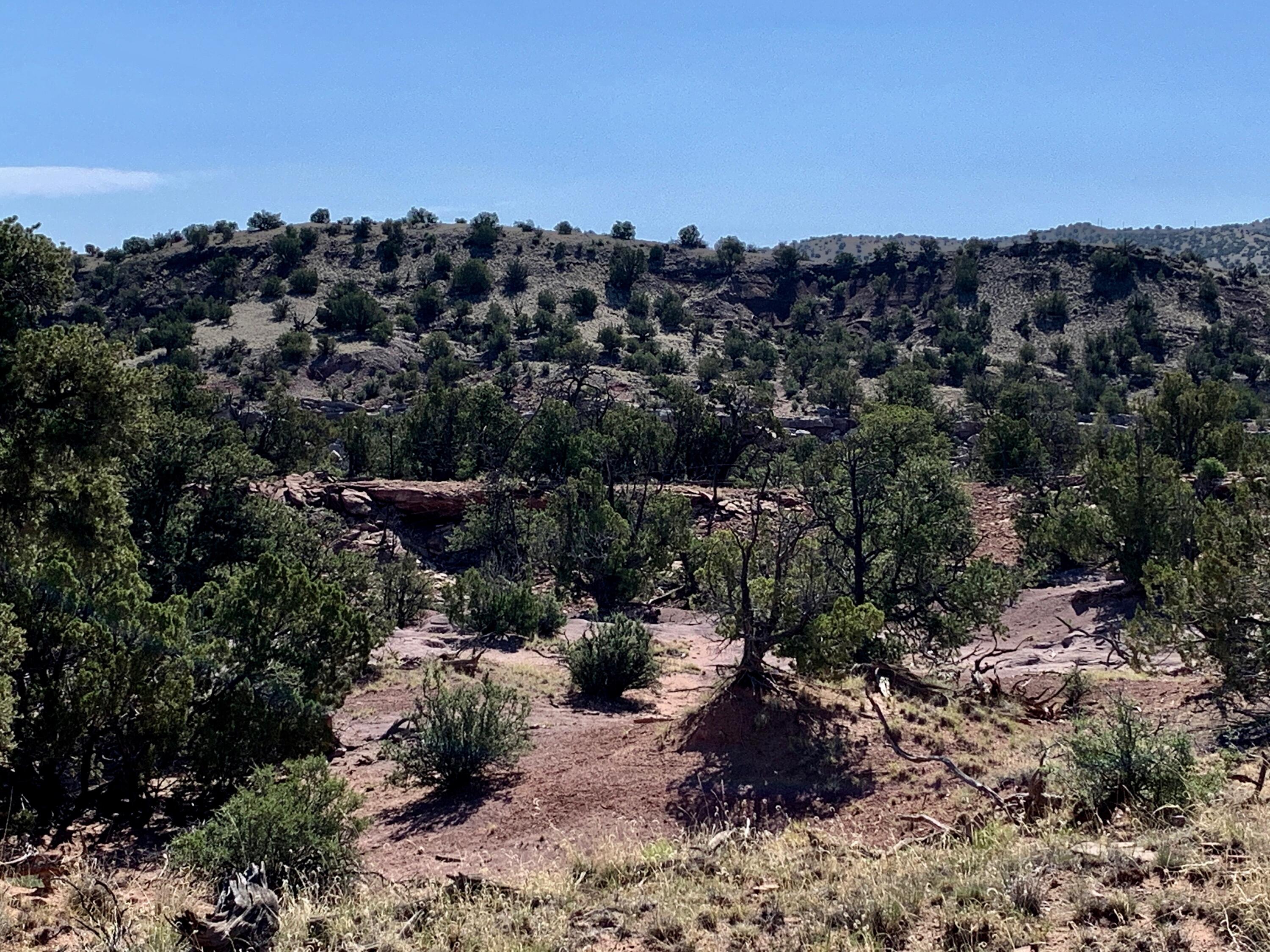 9 Pinon Springs Ranches