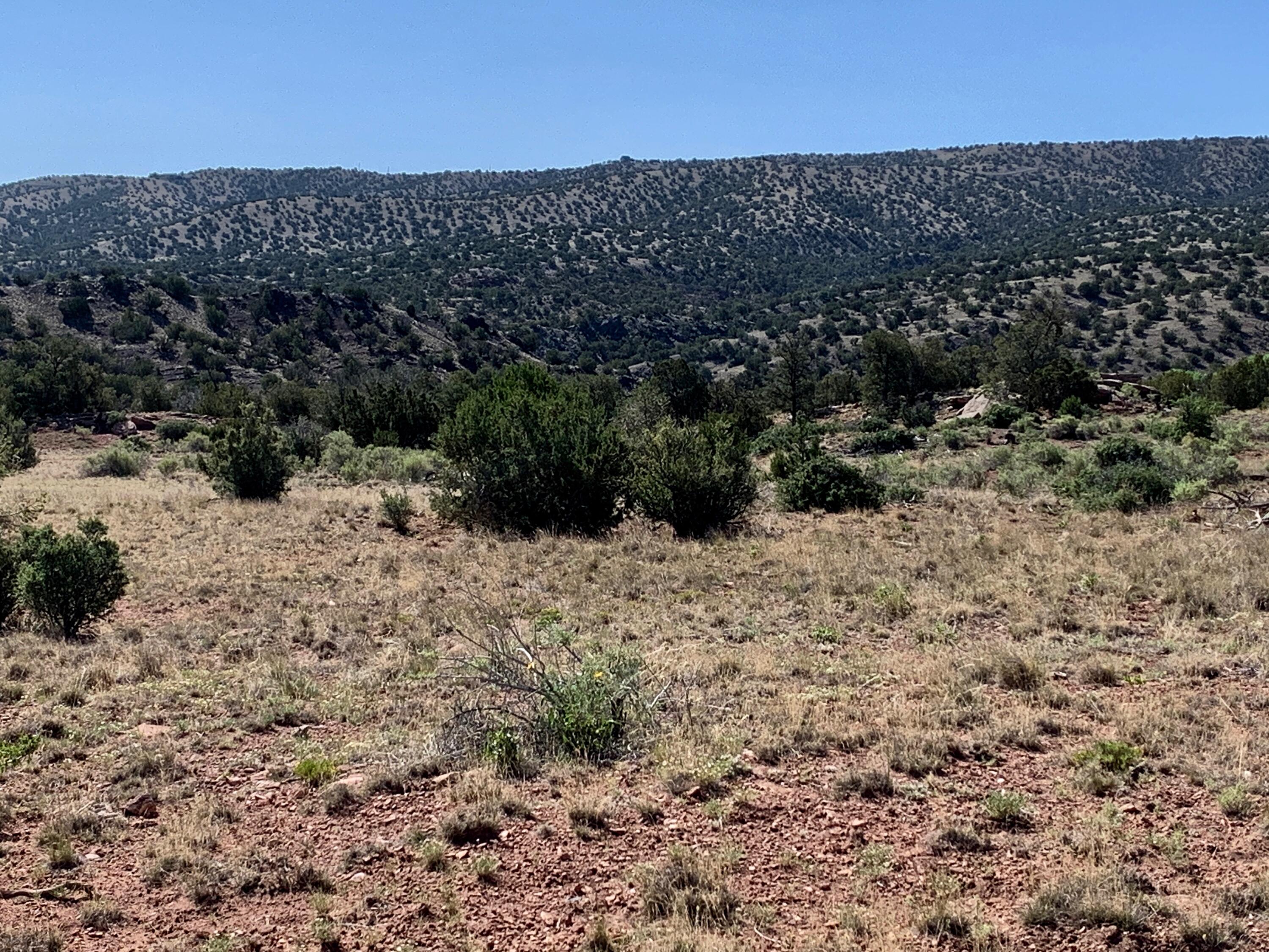 9 Pinon Springs Ranches