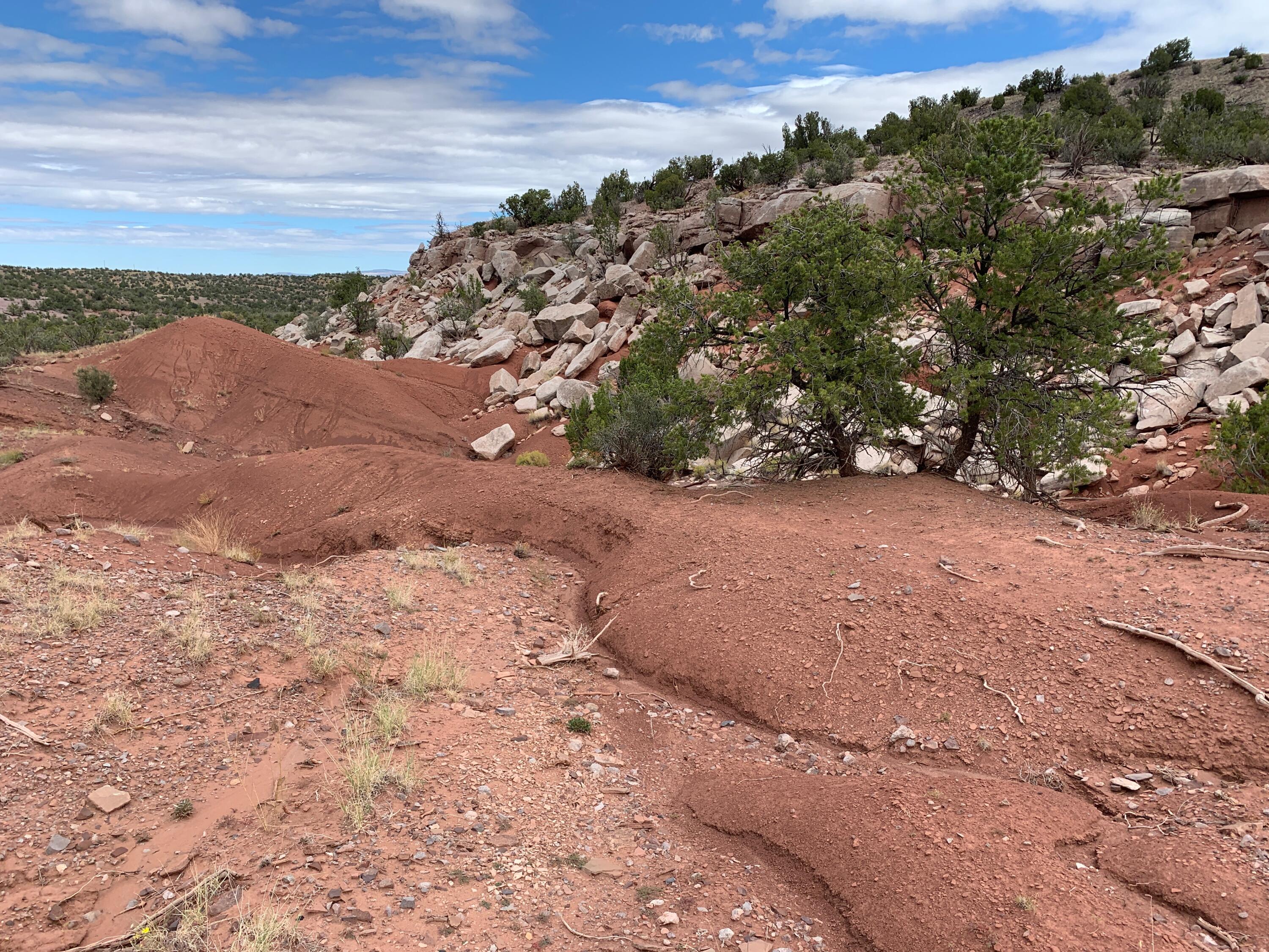 9 Pinon Springs Ranches