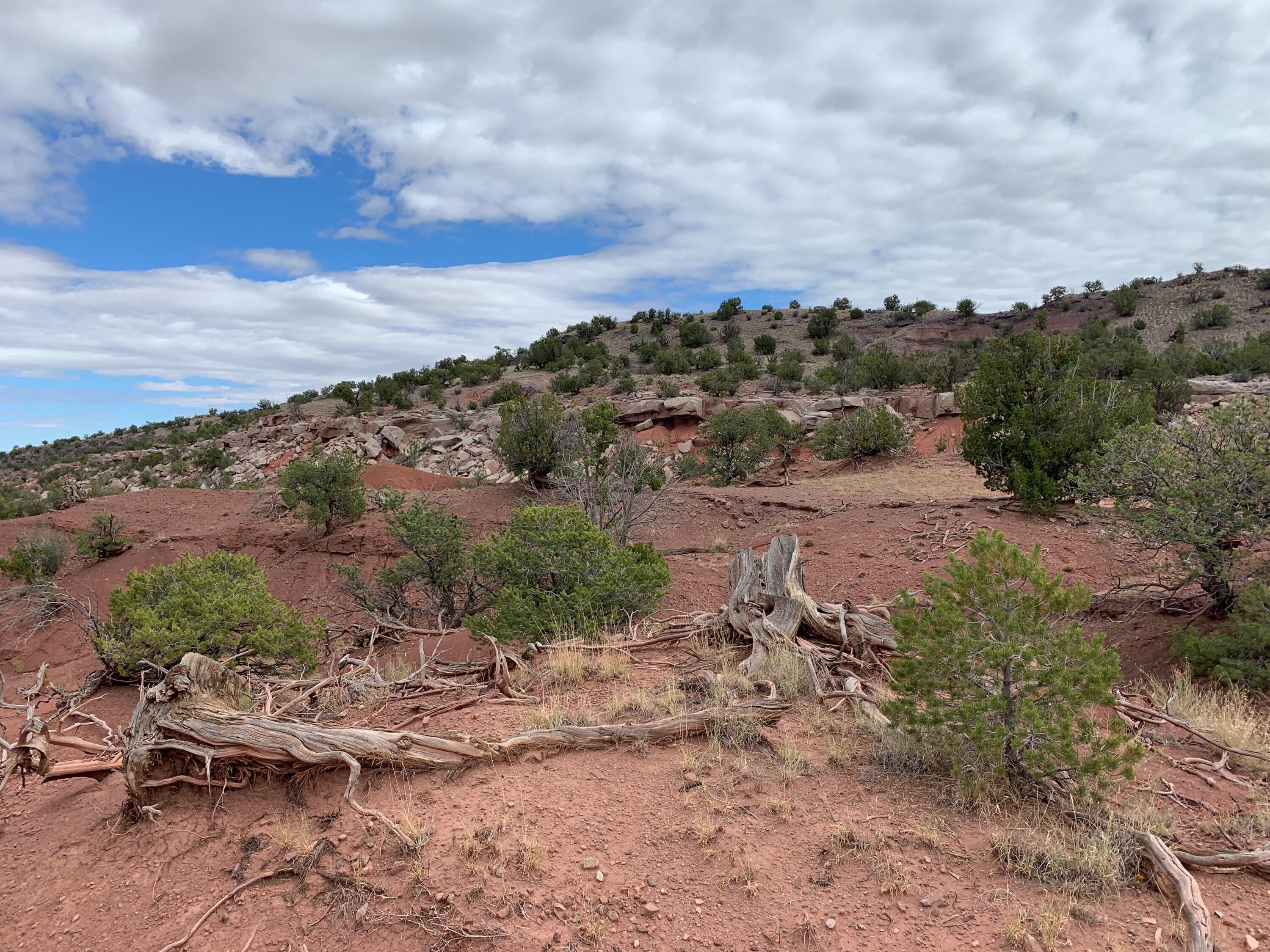 9 Pinon Springs Ranches