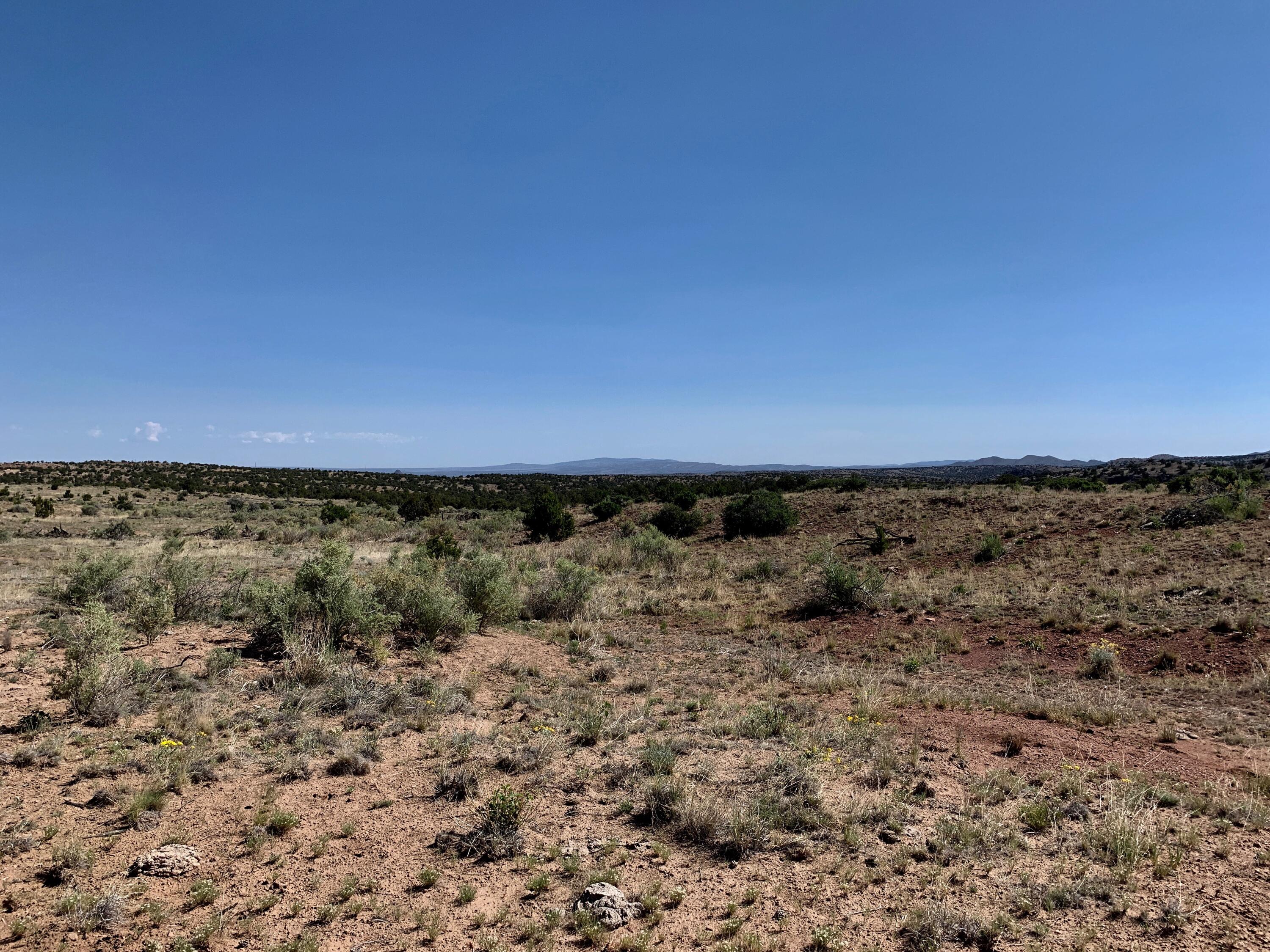 9 Pinon Springs Ranches