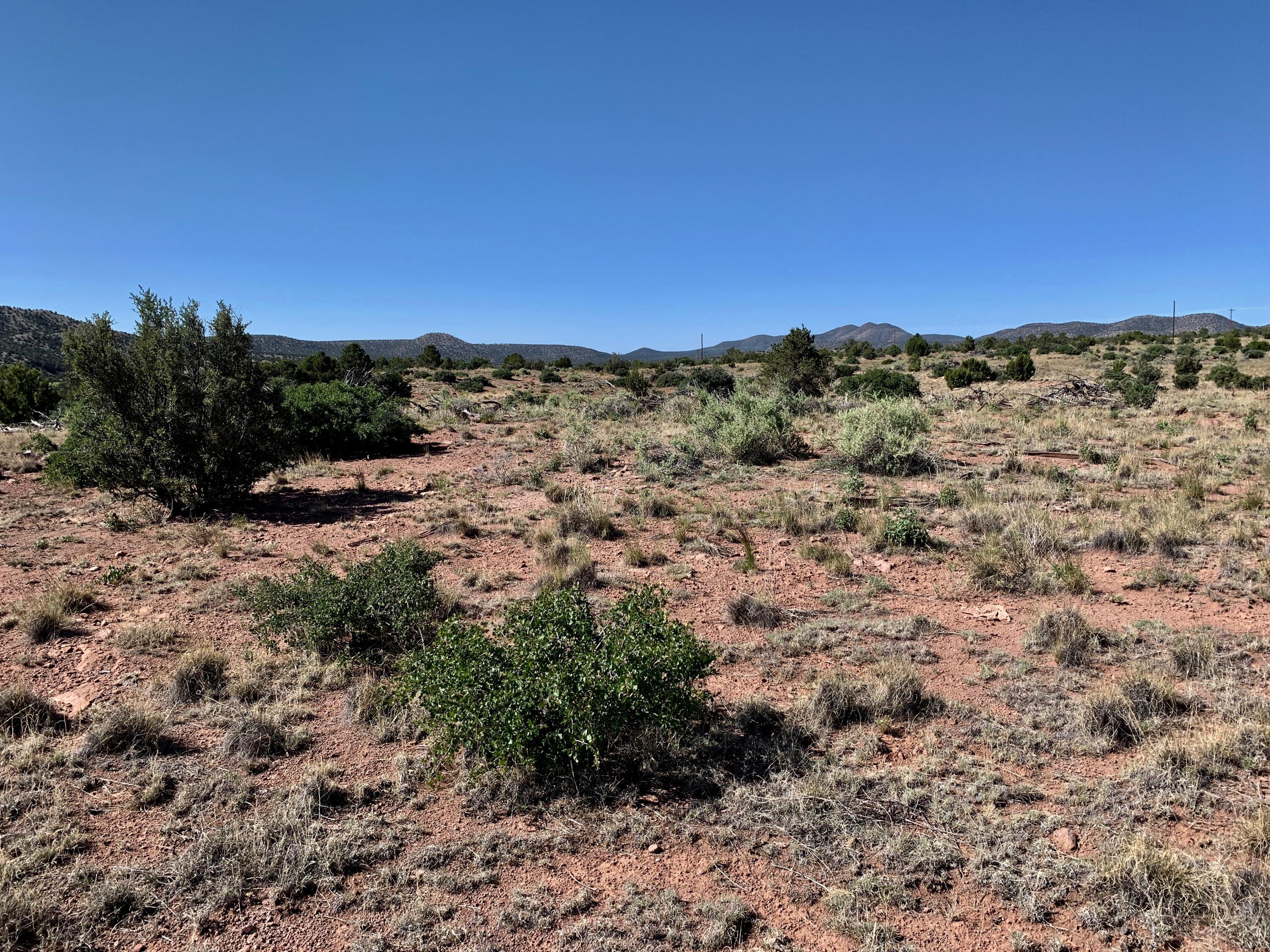 9 Pinon Springs Ranches