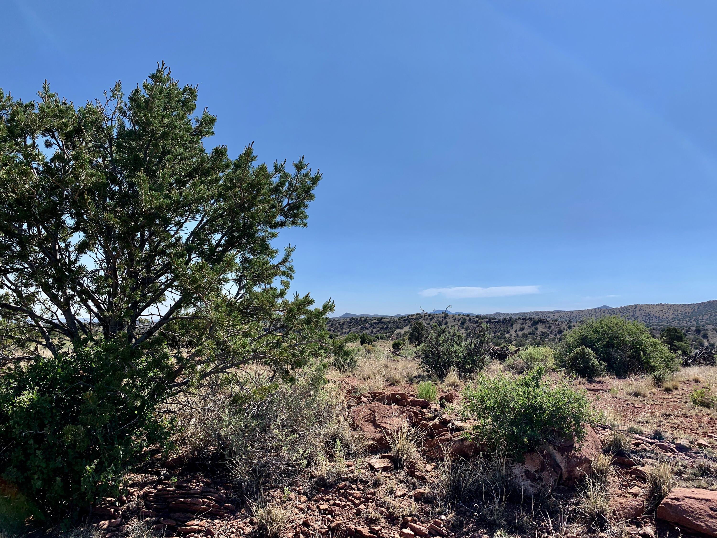 9 Pinon Springs Ranches