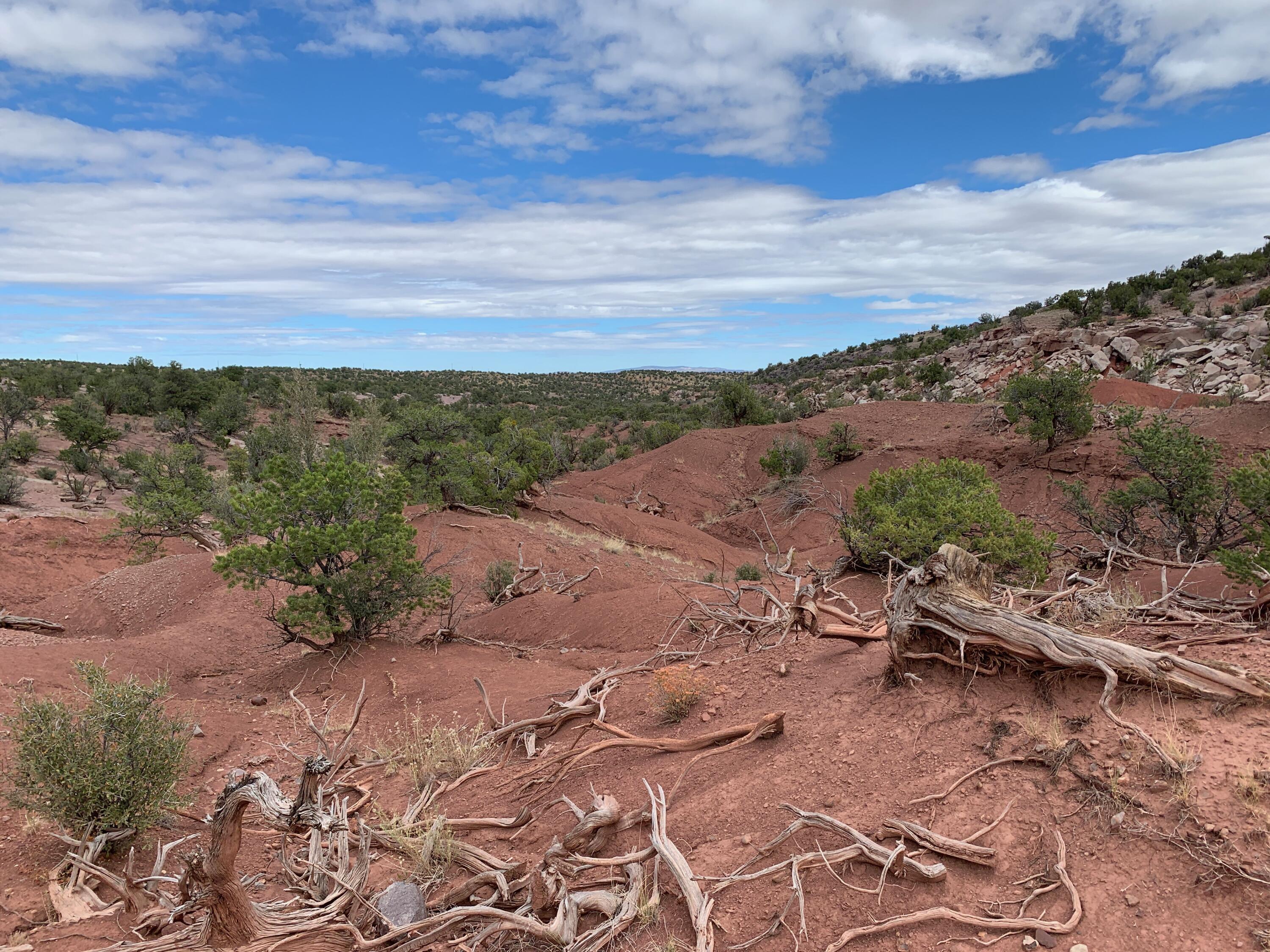 9 Pinon Springs Ranches