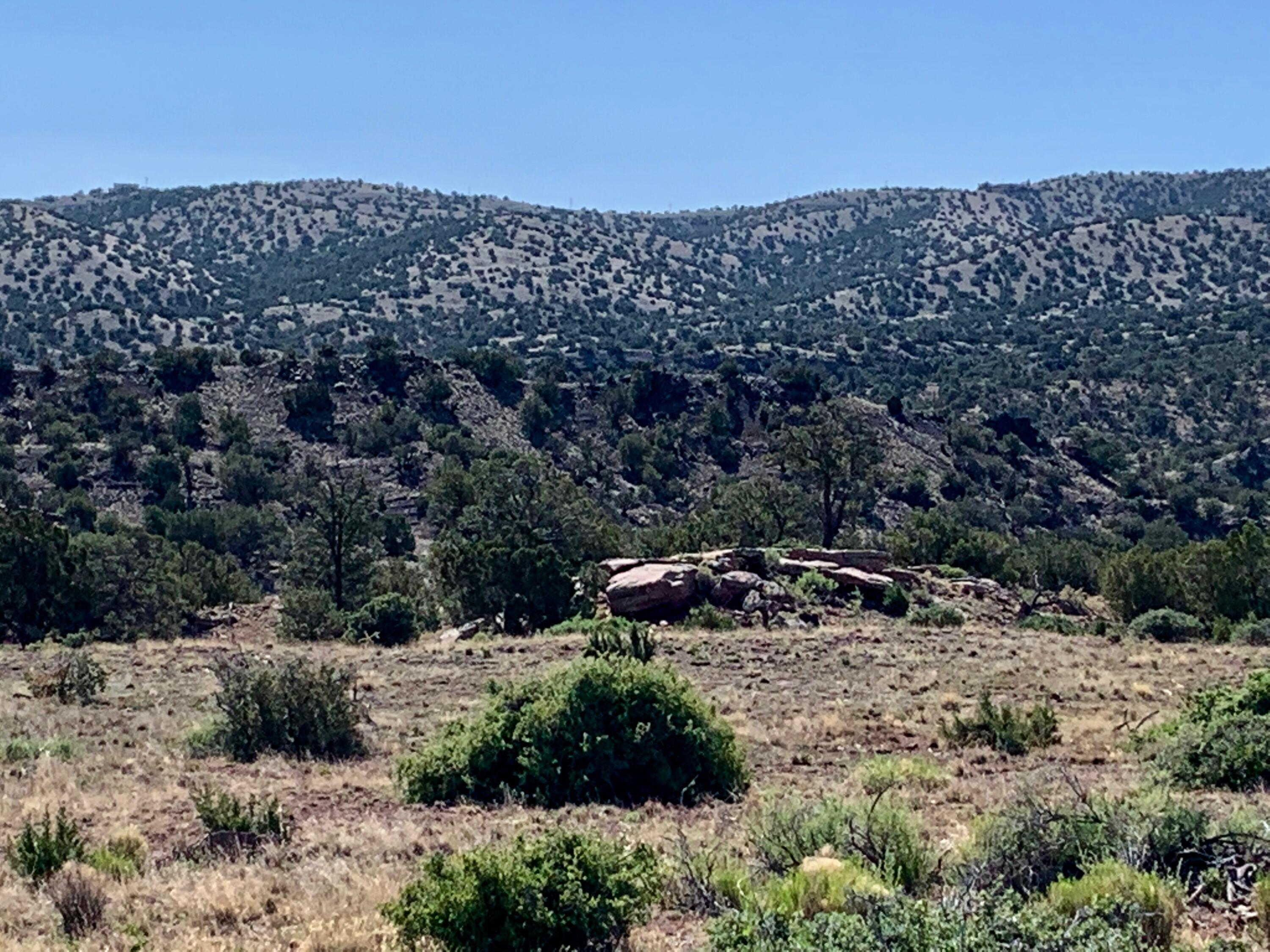 9 Pinon Springs Ranches