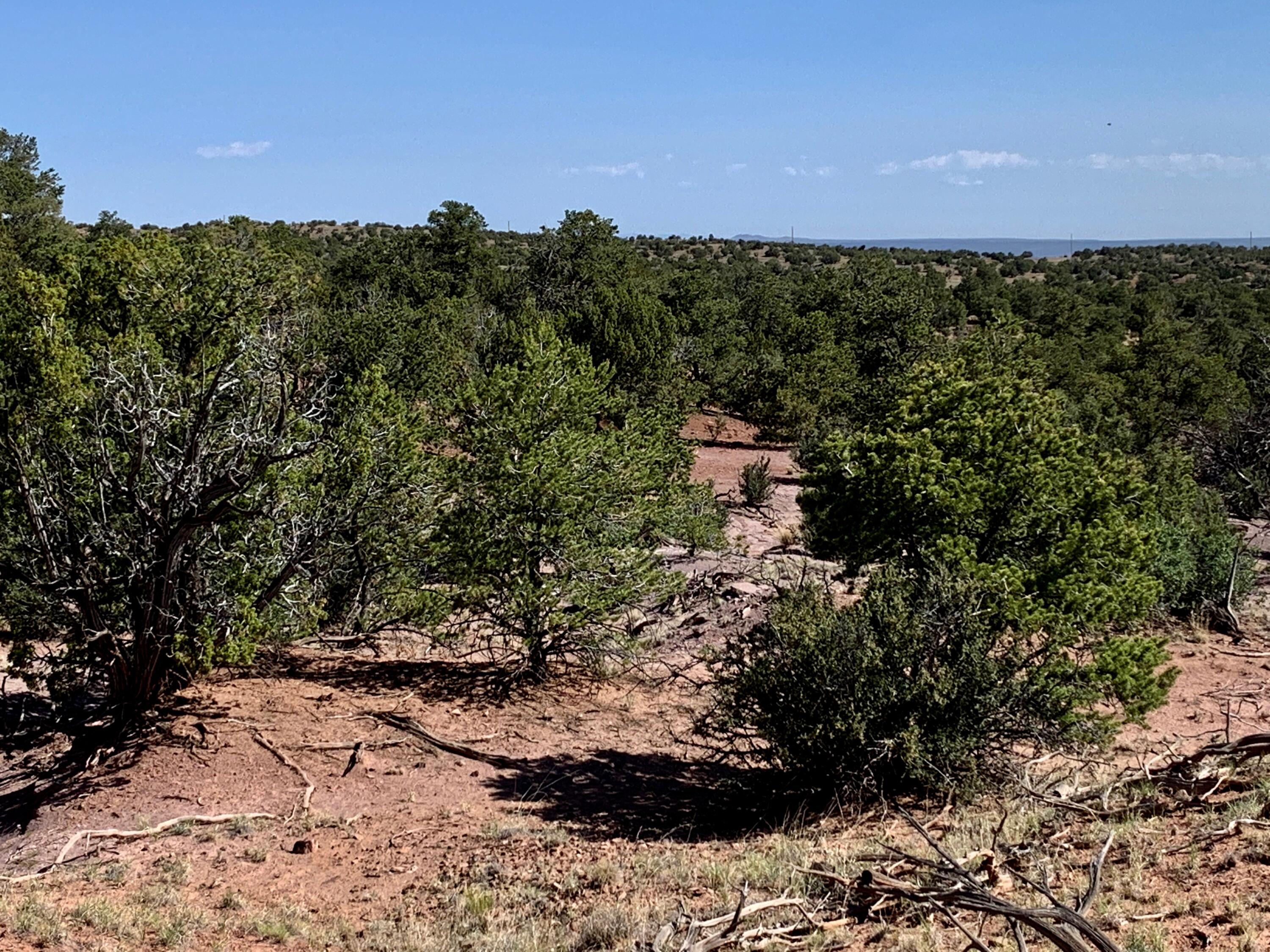 9 Pinon Springs Ranches