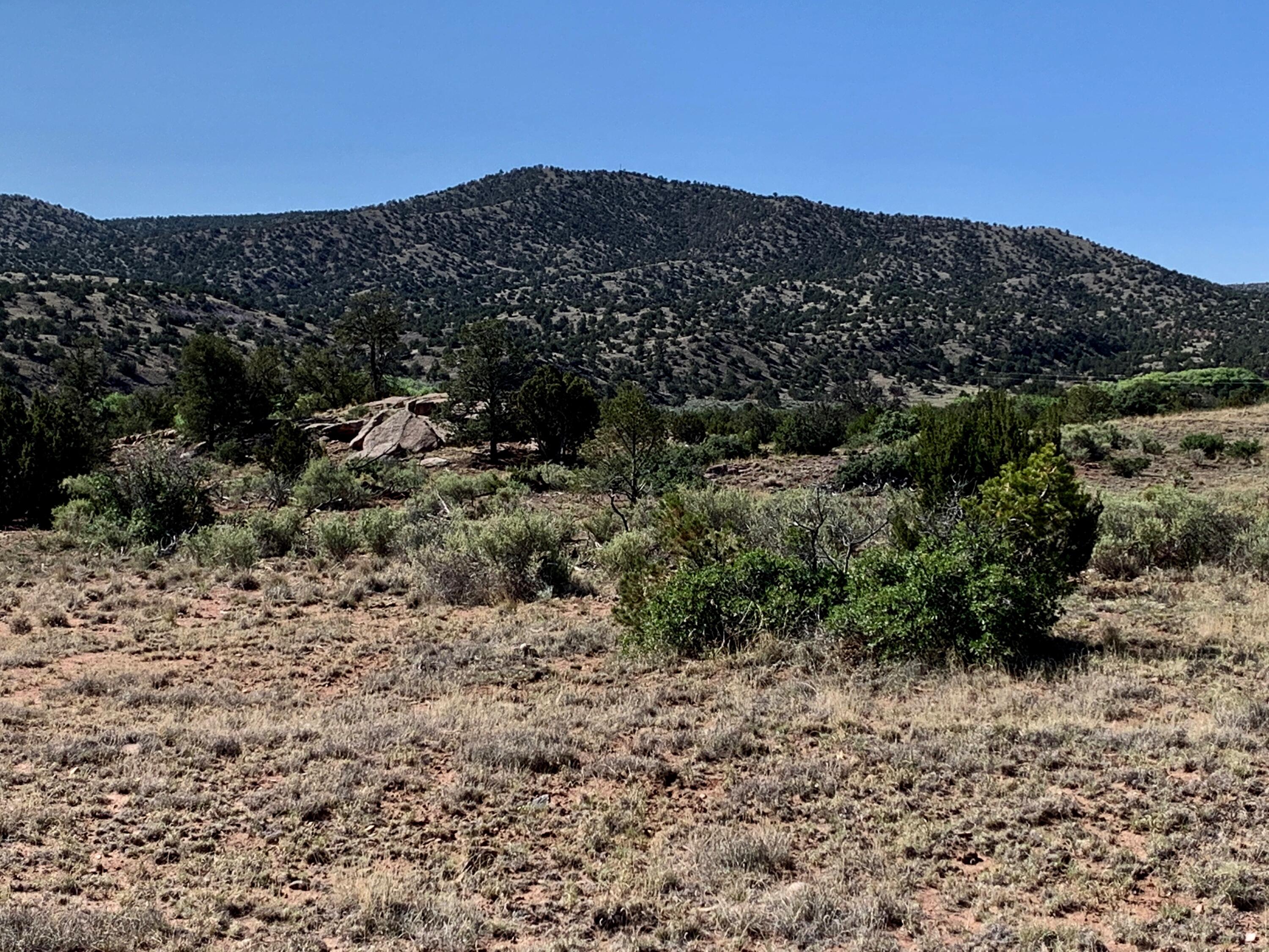 9 Pinon Springs Ranches