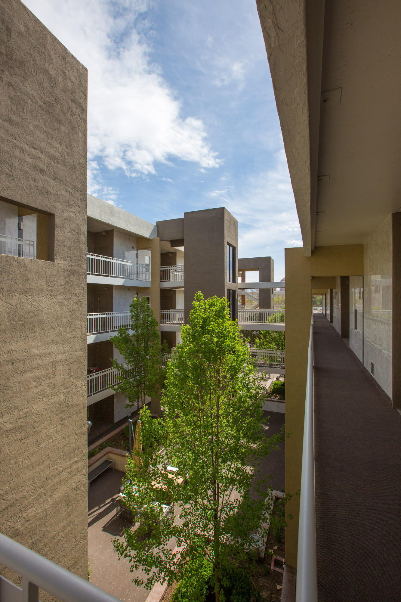 1325 Park Avenue SW Unit: 310