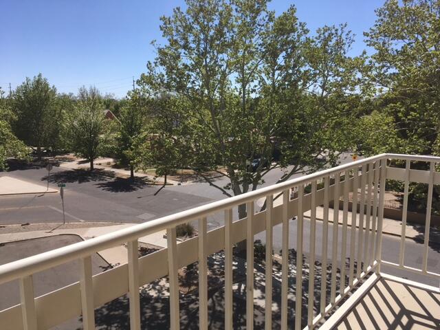 1325 Park Avenue SW Unit: 310