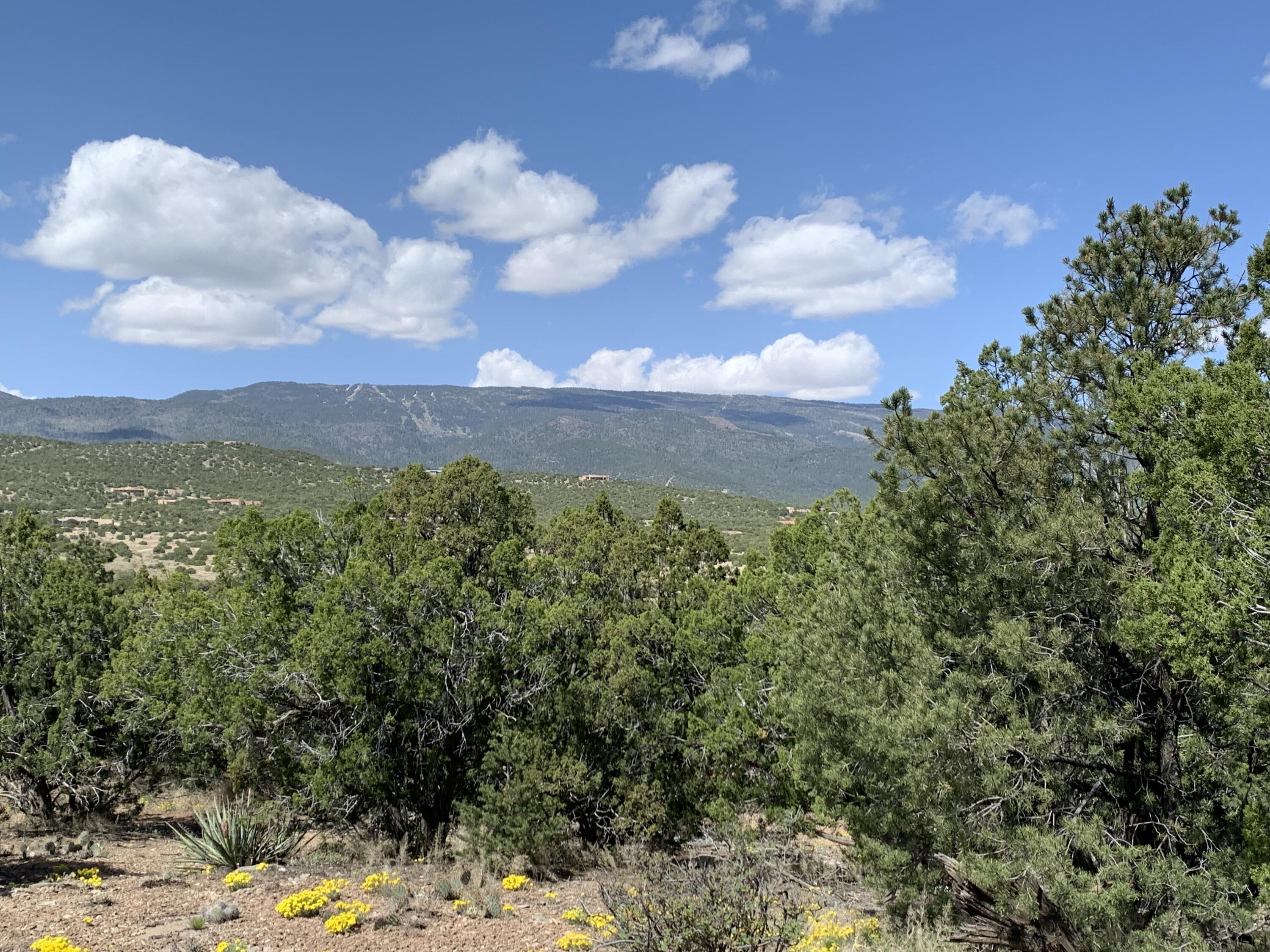 5 Vista De Sandia