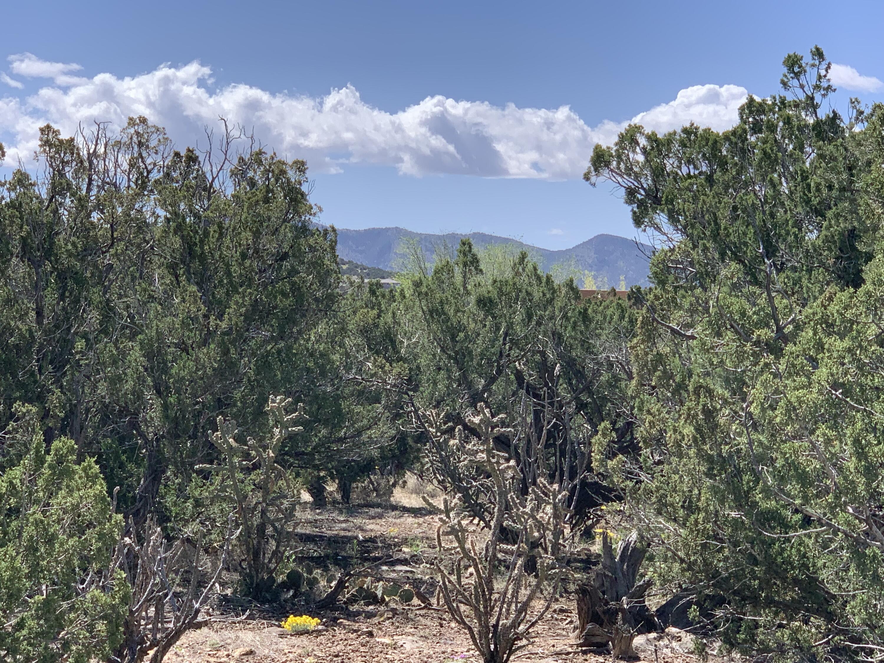 5 Vista De Sandia