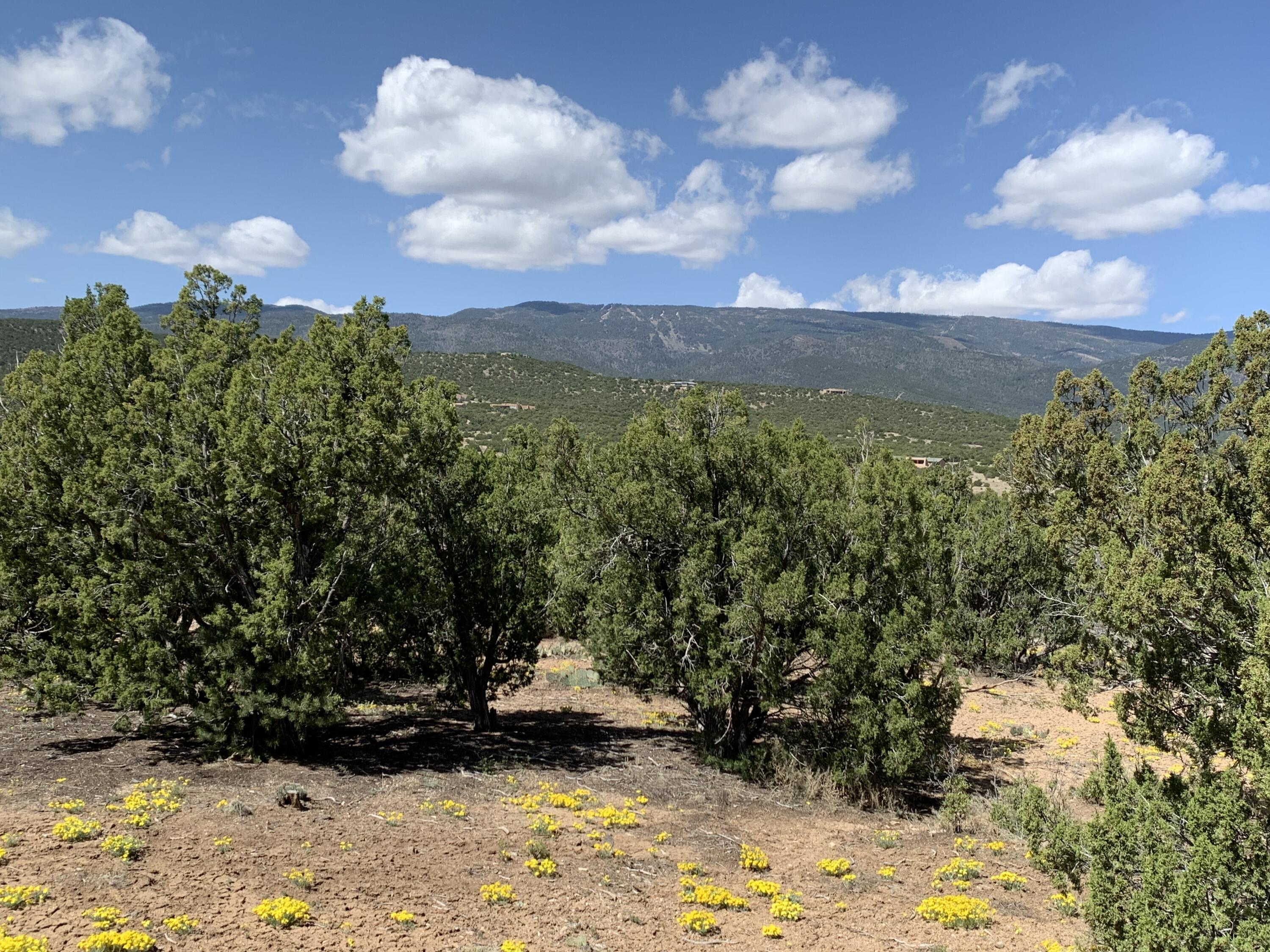 5 Vista De Sandia