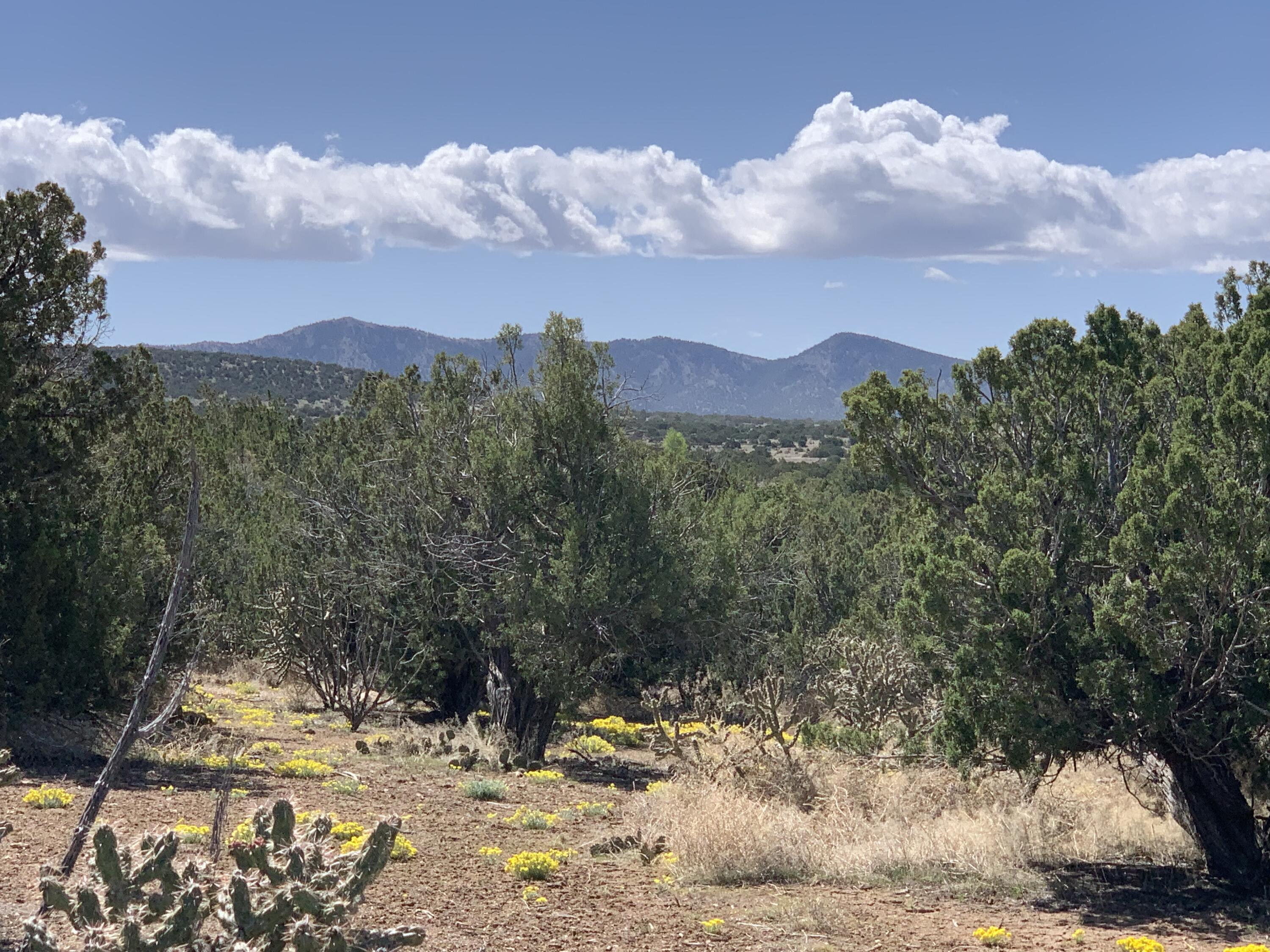 5 Vista De Sandia